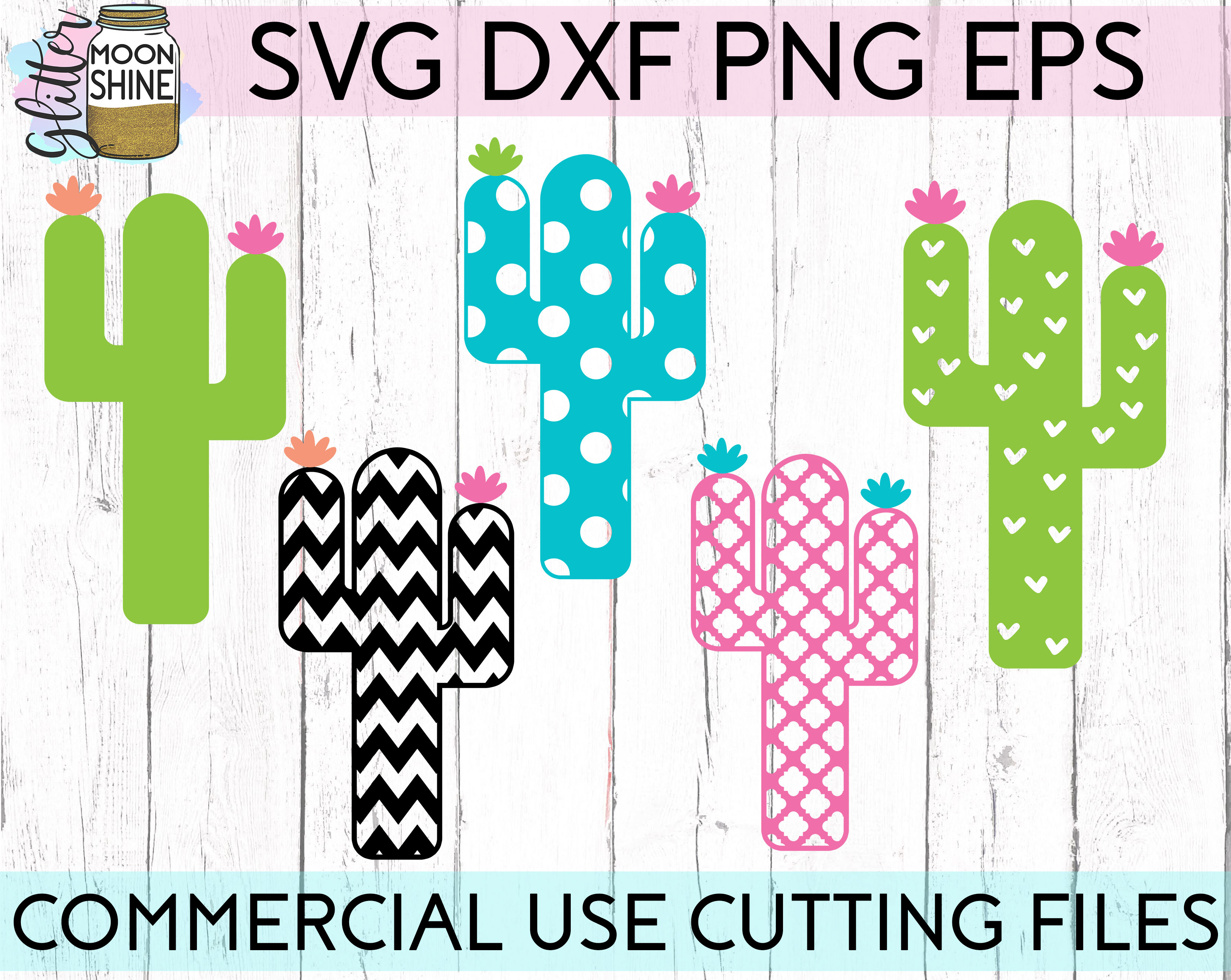 Download Cactus Monogram Frames Big Bundle of 15 SVG DXF PNG EPS ...