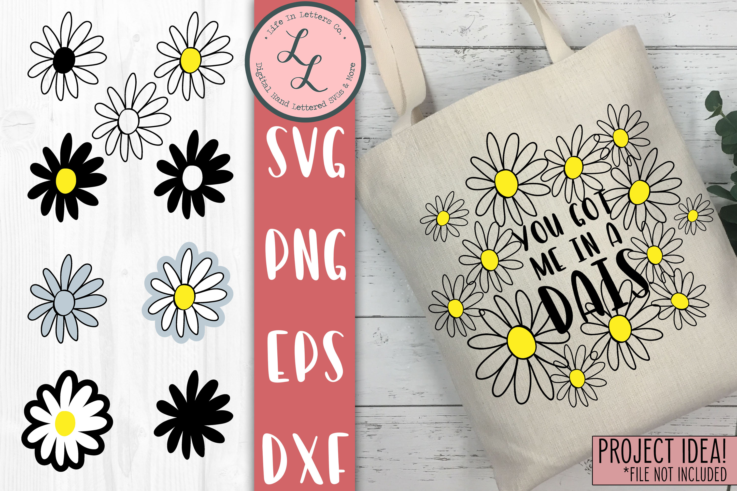 Free Free 70 Daisy Flower Vector Svg SVG PNG EPS DXF File