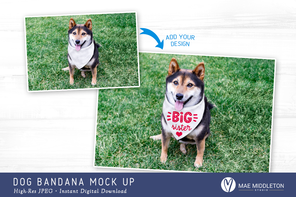 Download Dog Bandana Mock up, styled photo