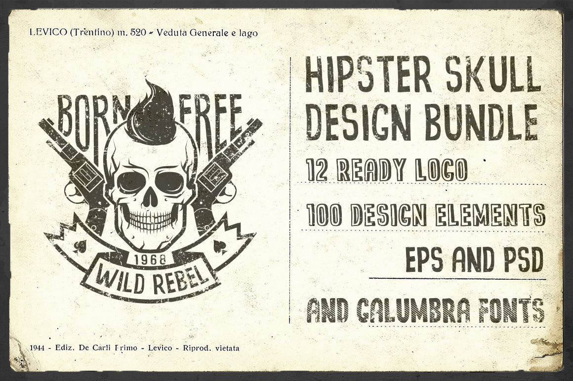 Download Hipster Skull Design Bundle (15081) | Logos | Design Bundles