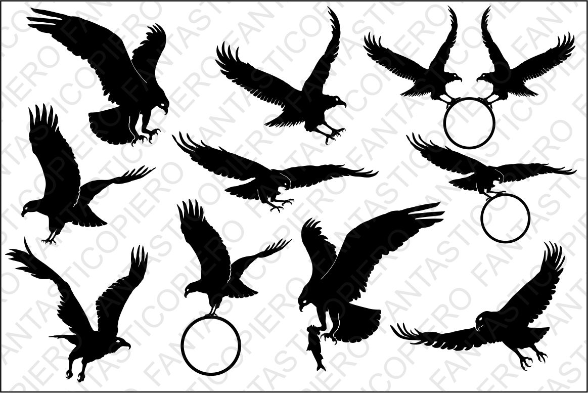 Download Bald Eagle SVG files for Silhouette Cameo and Cricut ...