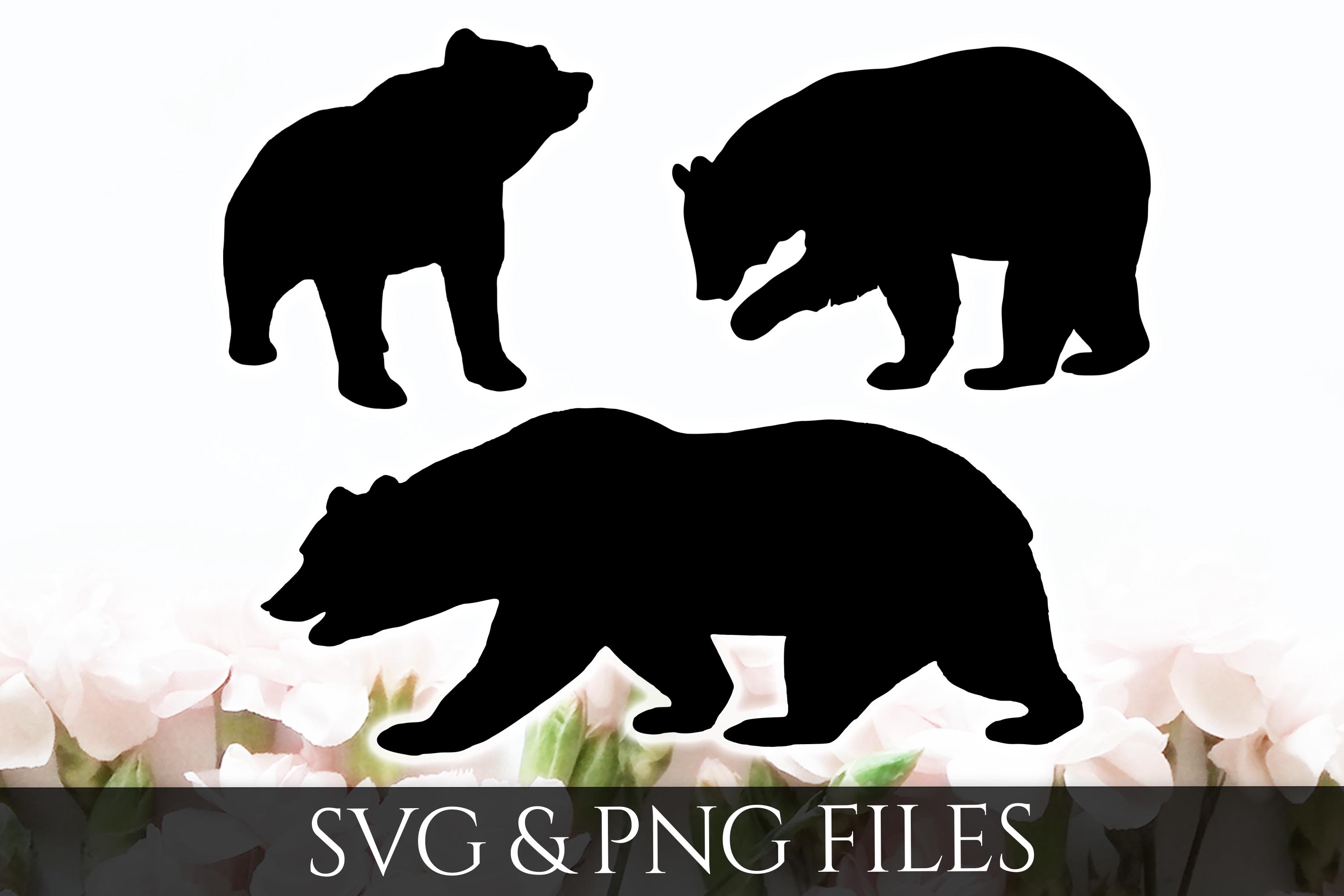 Download Bear SVG & PNG File (82920) | SVGs | Design Bundles