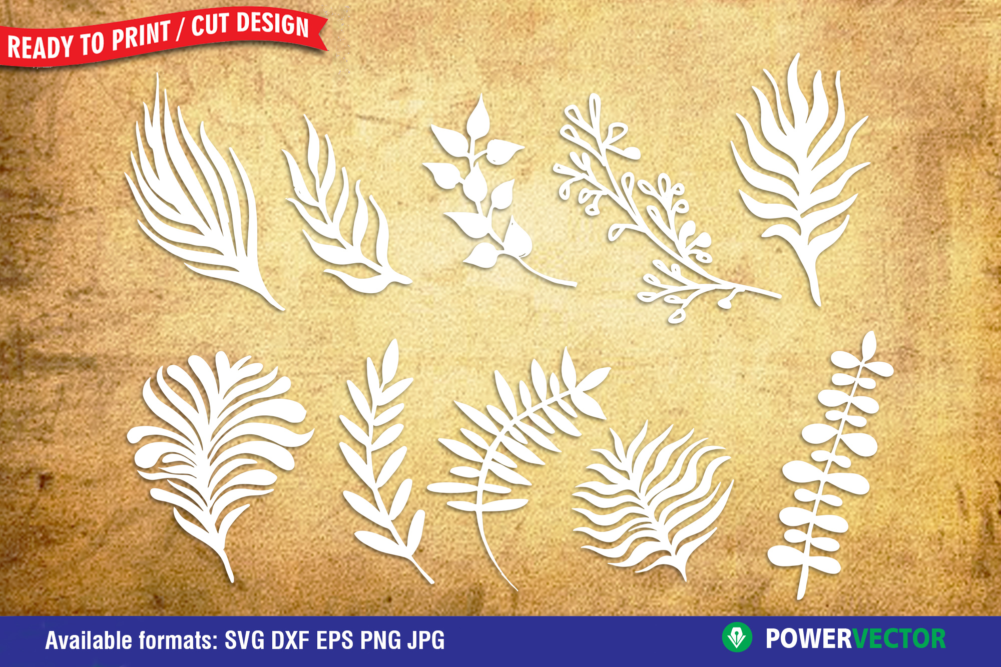 Download Leaves Dxf | Leaf SVG for Silhouette, Cricut Cutting