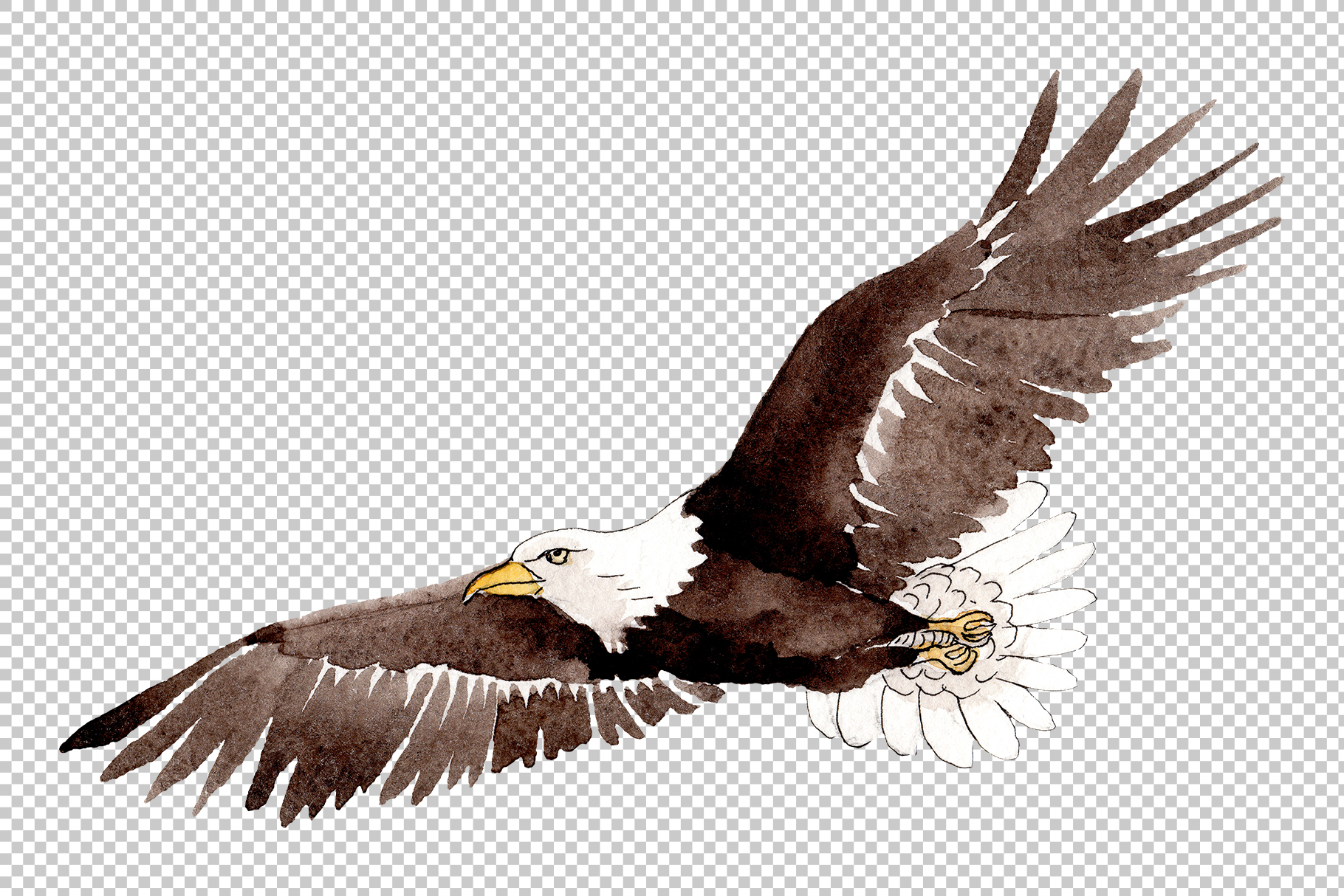 SVG For