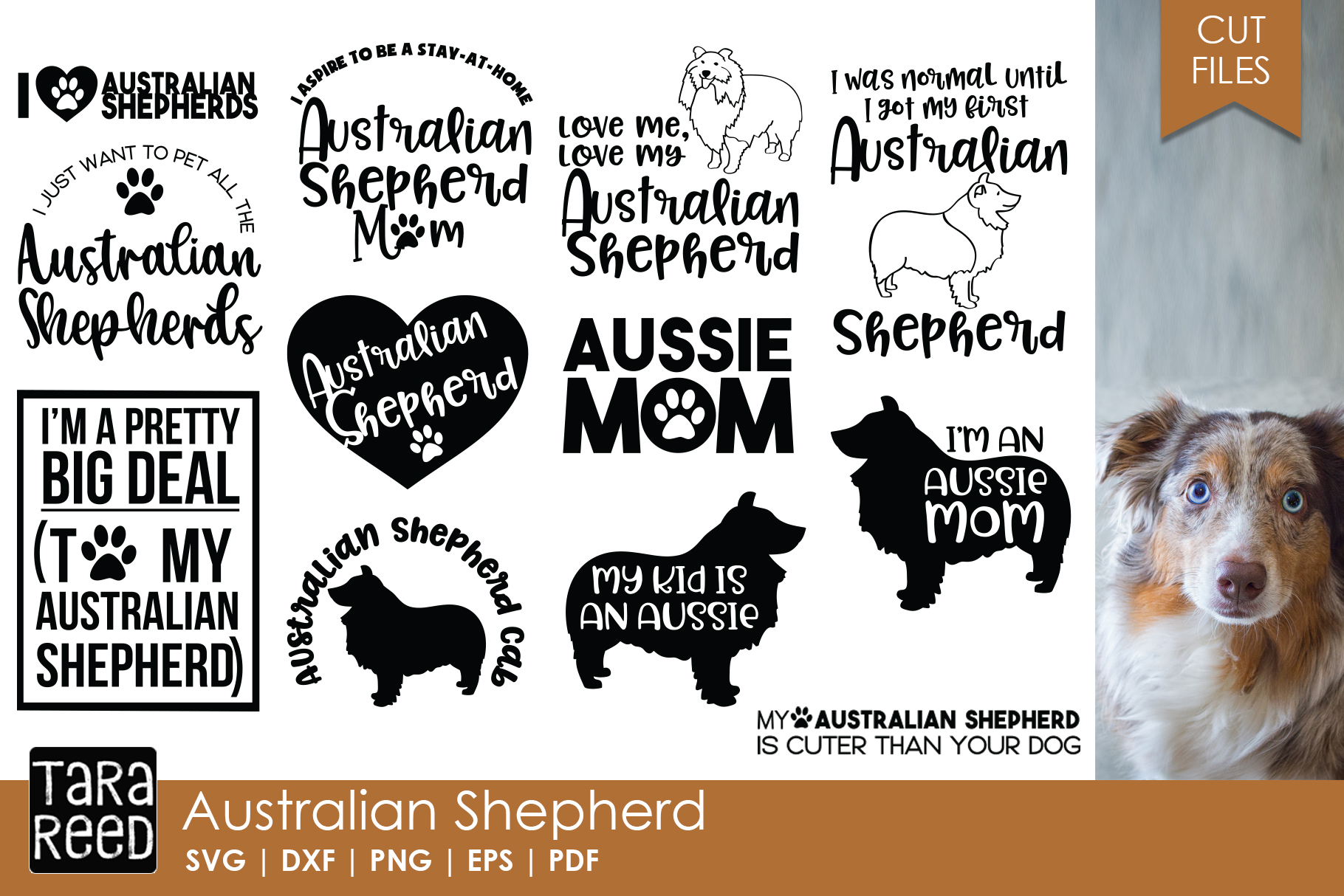 Download Australian Shepherd (139894) | Cut Files | Design Bundles