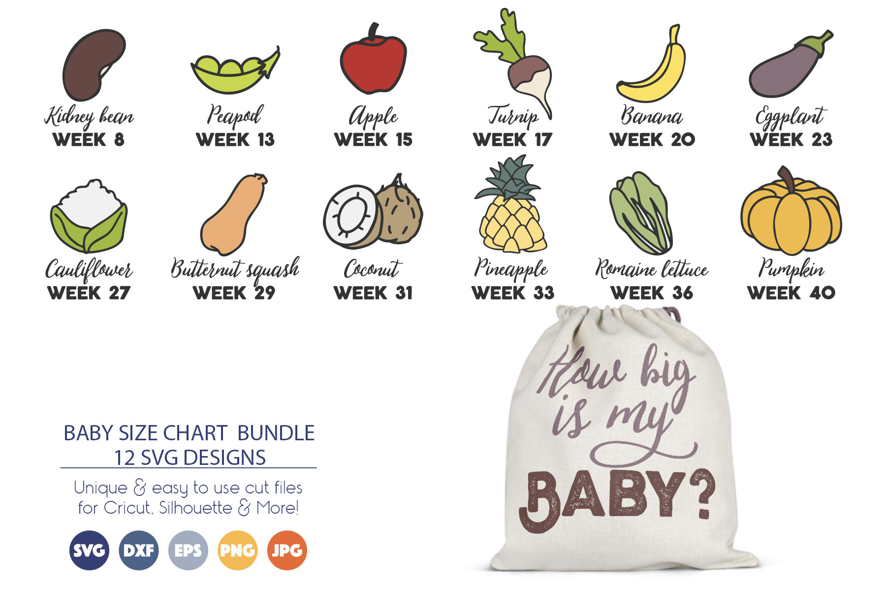 Pregnancy SVG Bundle | Baby Size Chart During Pregnancy