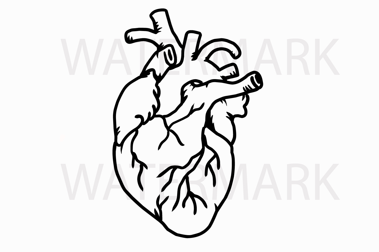 Human Real Heart - SVG/JPG/PNG Hand Drawing (63878) | Illustrations