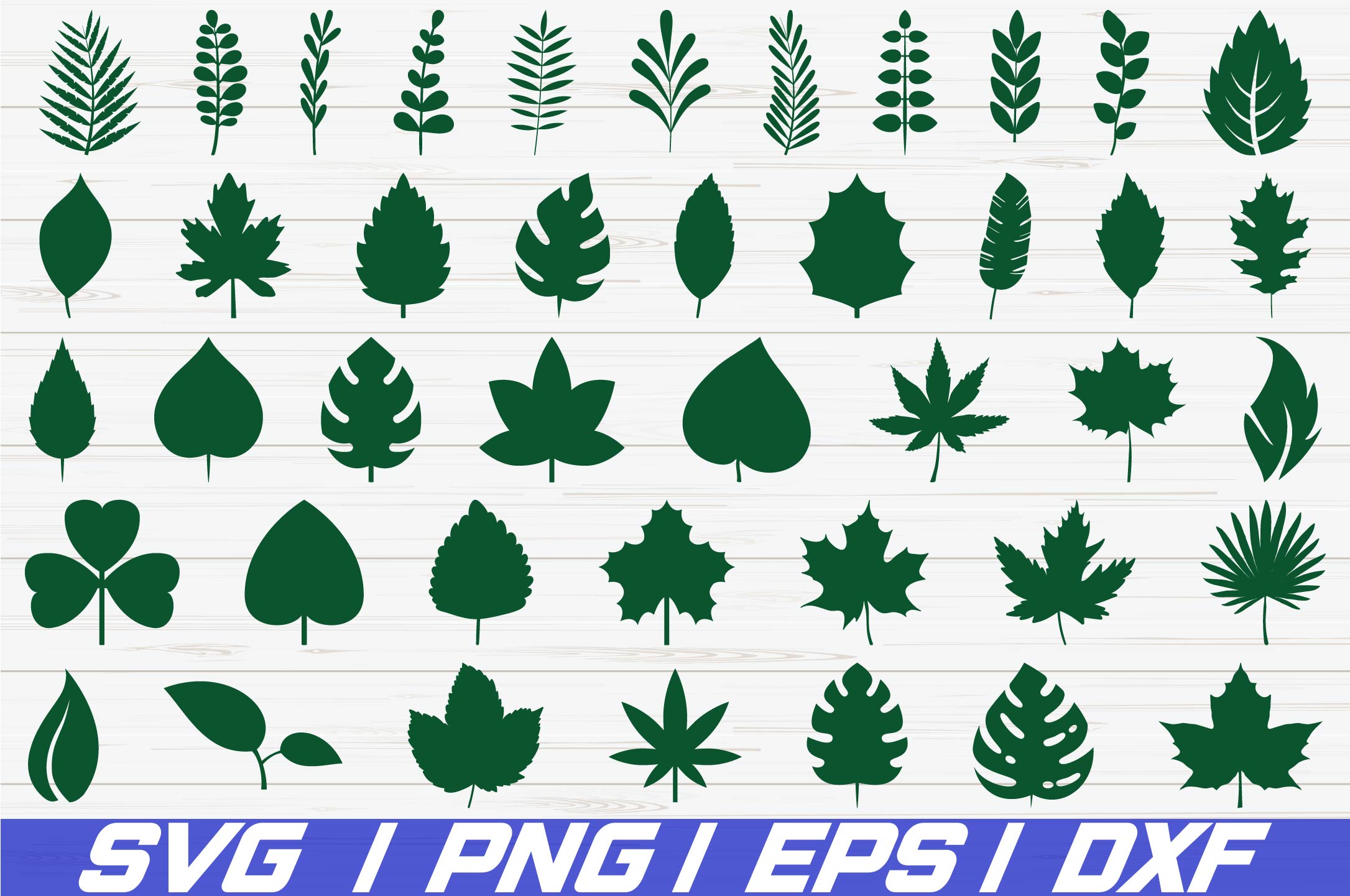 Download 42 Paper Leaves / SVG / Cut File / Leaf Templates / Cricut