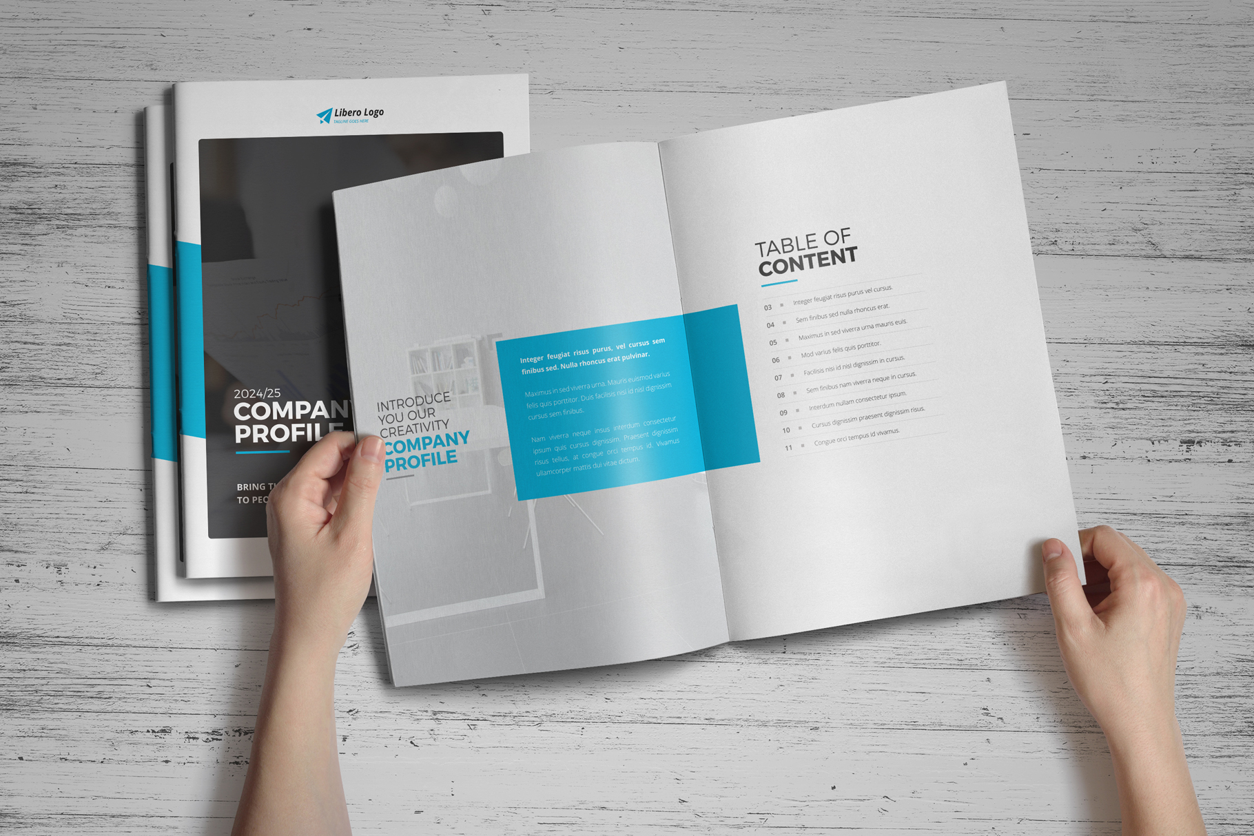 Company Profile Brochure Design v1 (111729) Brochures Design Bundles