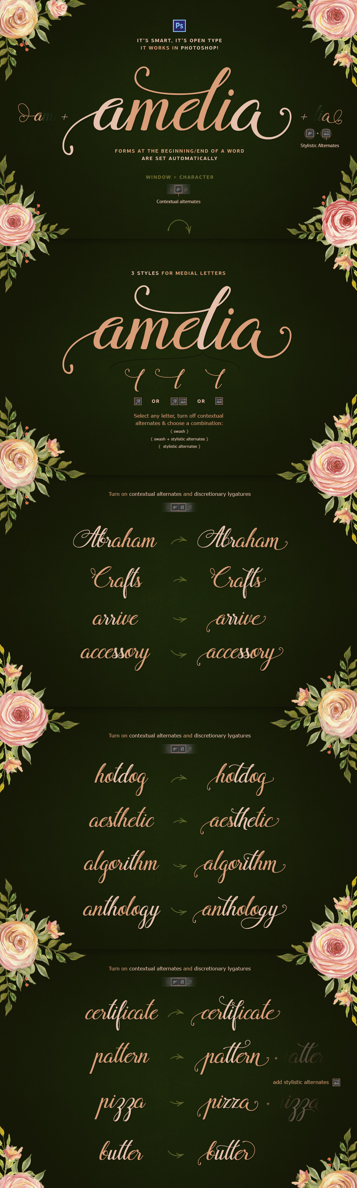 Flamingo Formal Script 8694 Script Font Bundles