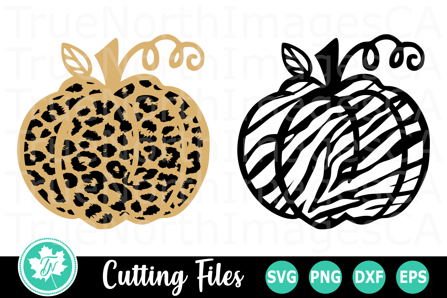 Download Leopard and Zebra Print Pumpkin - A Fall SVG Cut File