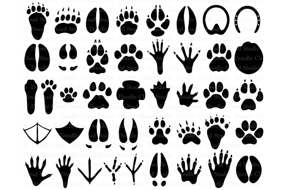 31 Animal Paw SVG, Paw Prints SVG Files, Paw Clipart.