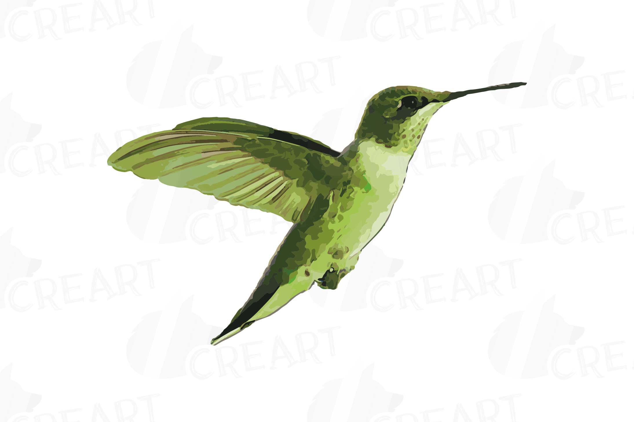 Download Watercolor hummingbirds clip art pack, tropical birds vector