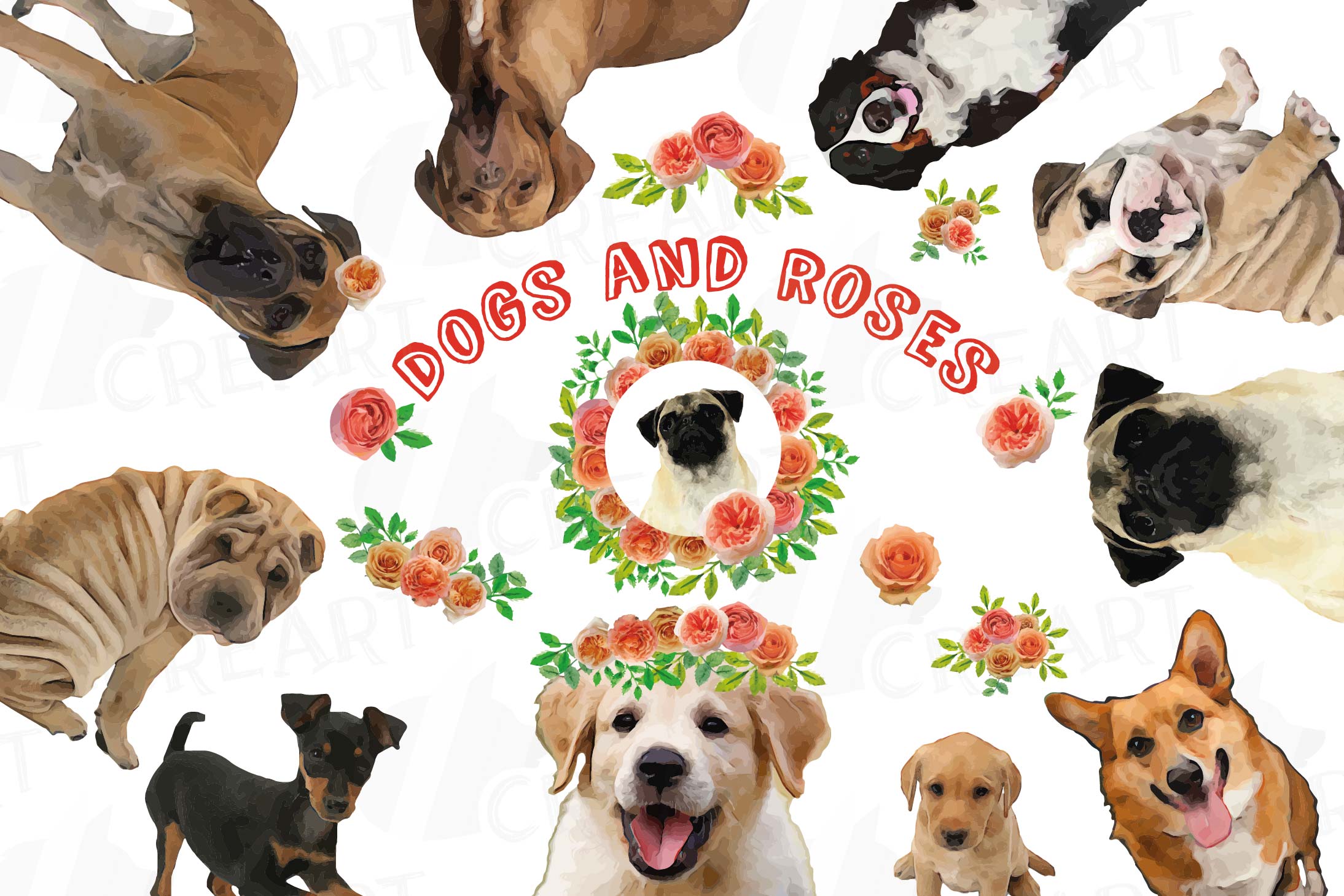 Watercolor Floral Dogs and Roses clip art, DOG lovers vector
