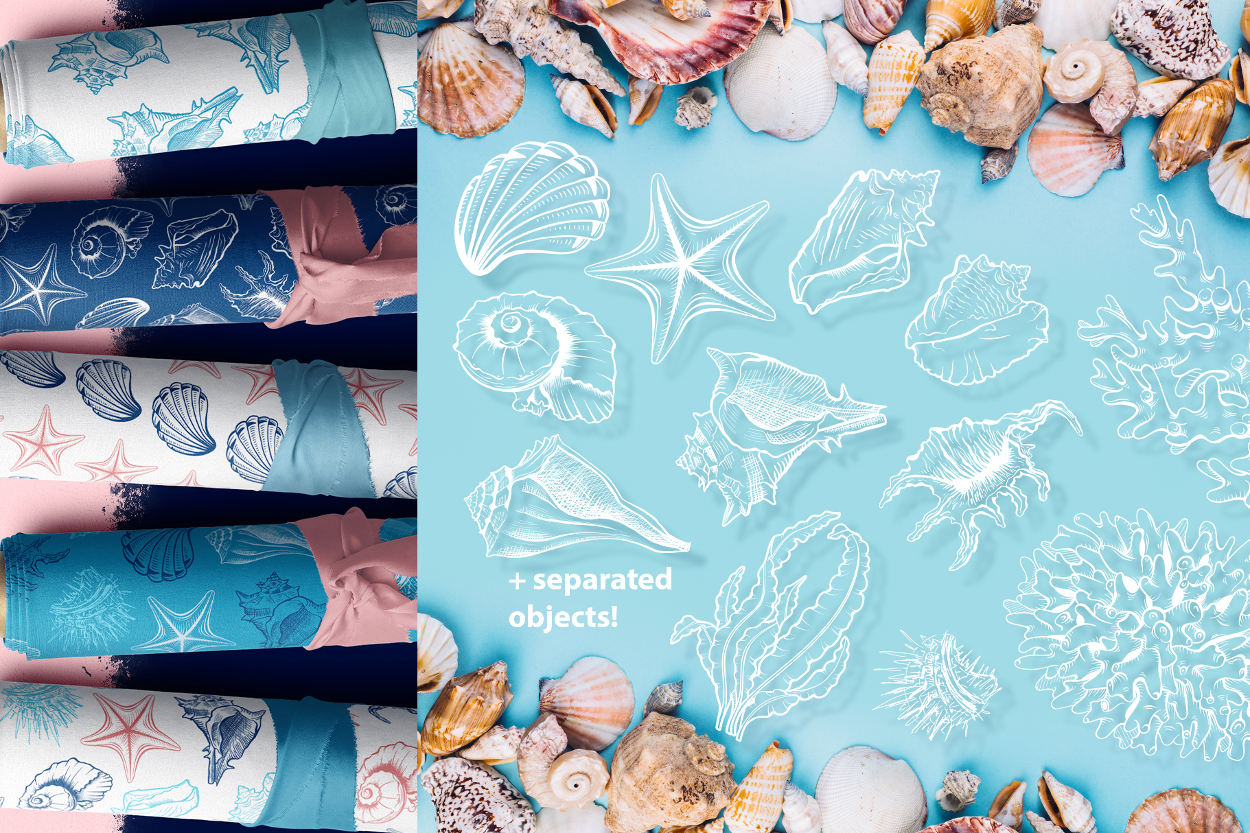 Seashell Patterns Collection Sublimation JPEG, PNG, EPS, AI