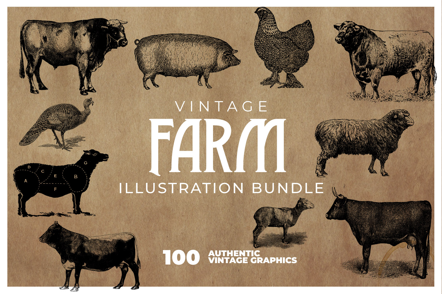 Download 100 Vintage Farm Animal Illustrations 236398 Illustrations Design Bundles