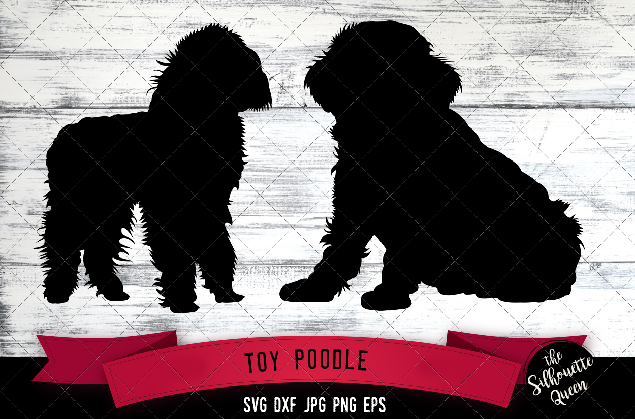 Toy Poodle SVG Files, Dog Svg, Silhouette File, Cricut File