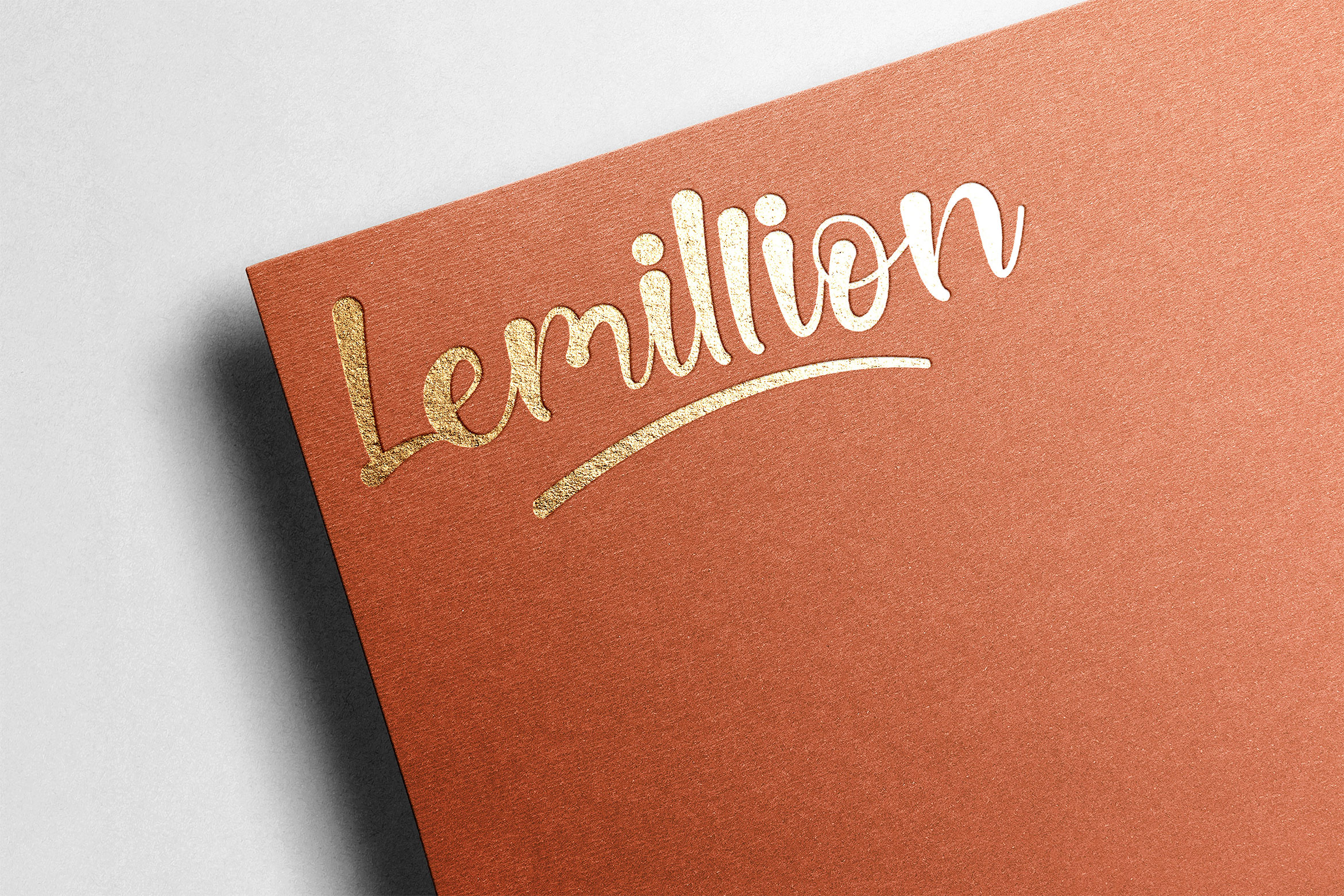 Lemillion Bold Script (514546) | Script | Font Bundles