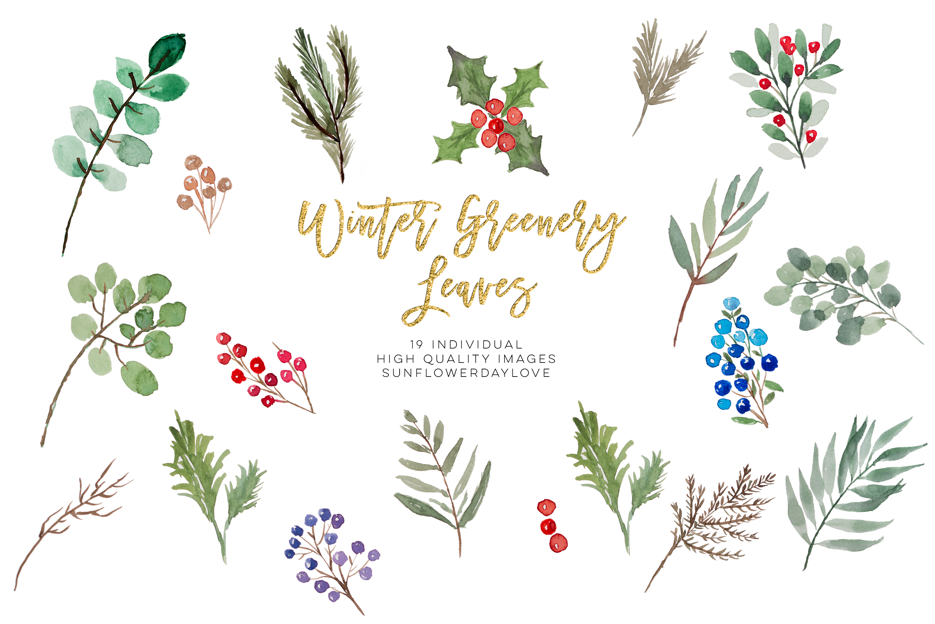 Download winter greenery leaves clipart, Christmas Leaves