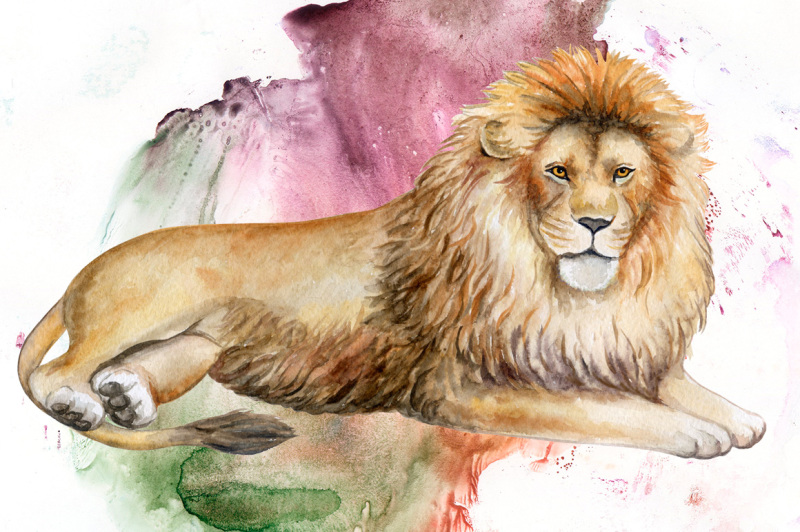 Lion Family. Watercolor