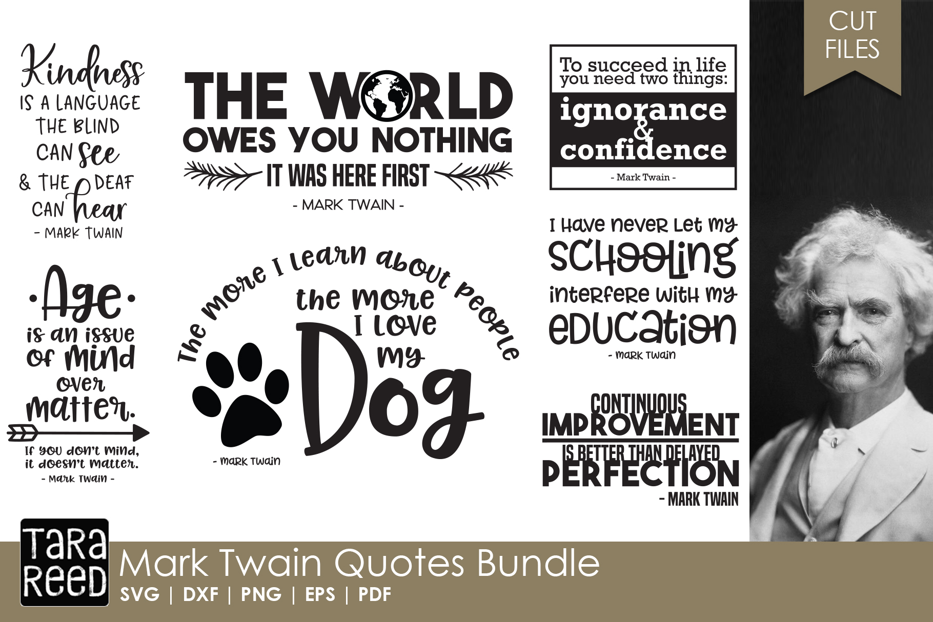 Mark Twain Quotes Bundle