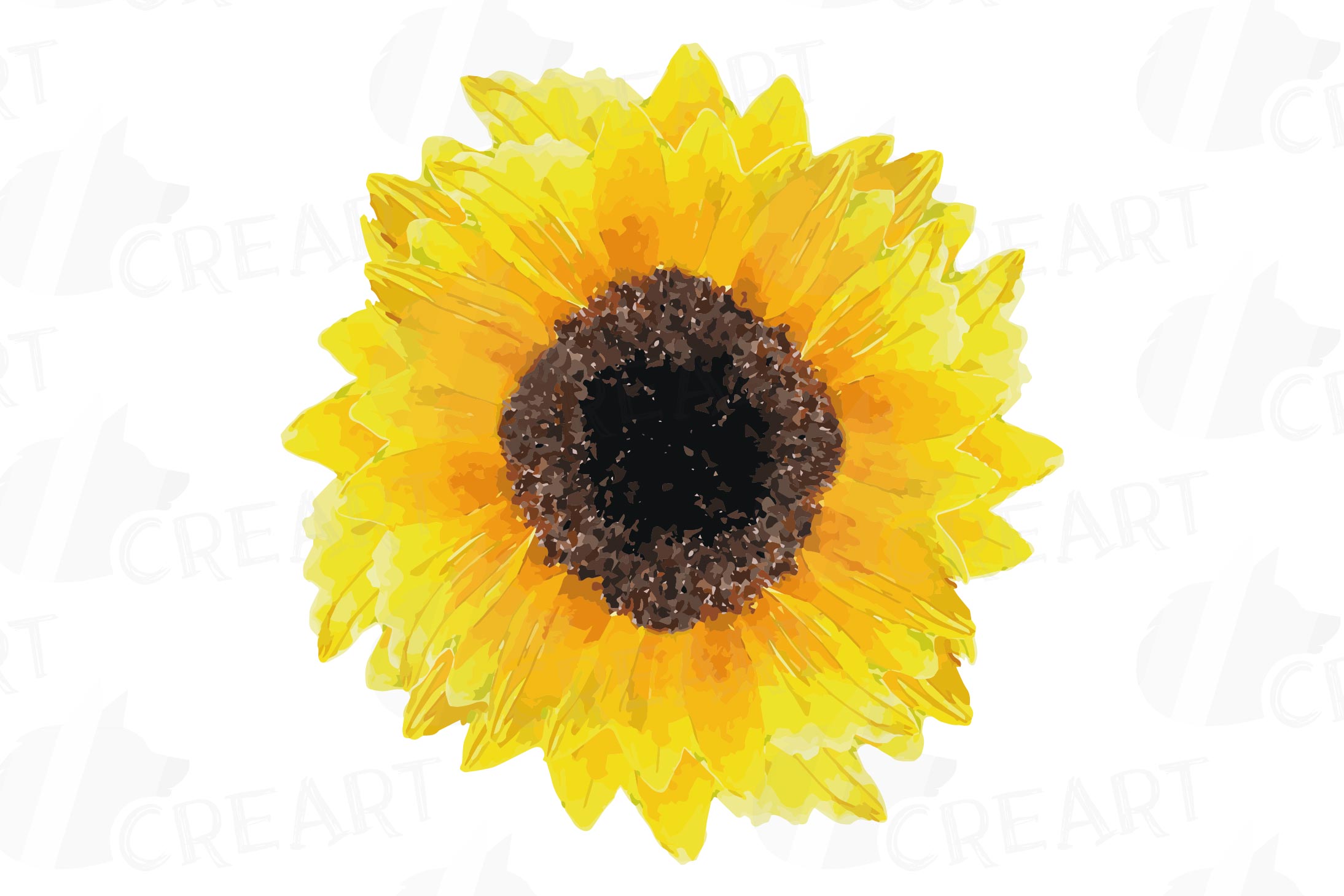Sunflowers watercolor clip art pack 2, watercolor sunflower