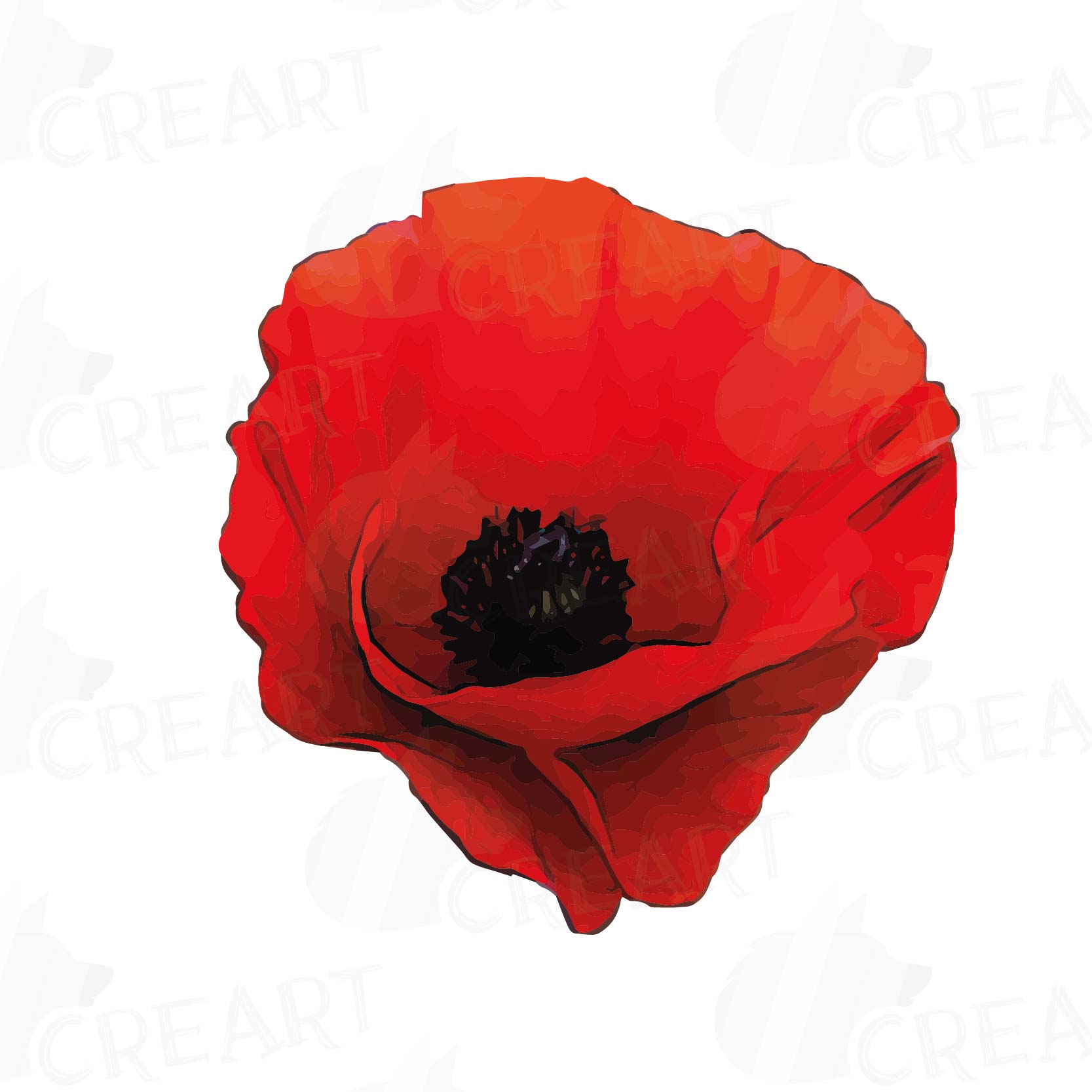 Watercolor Red Poppy flower and leaf clip art pack, Poppies clip art ...