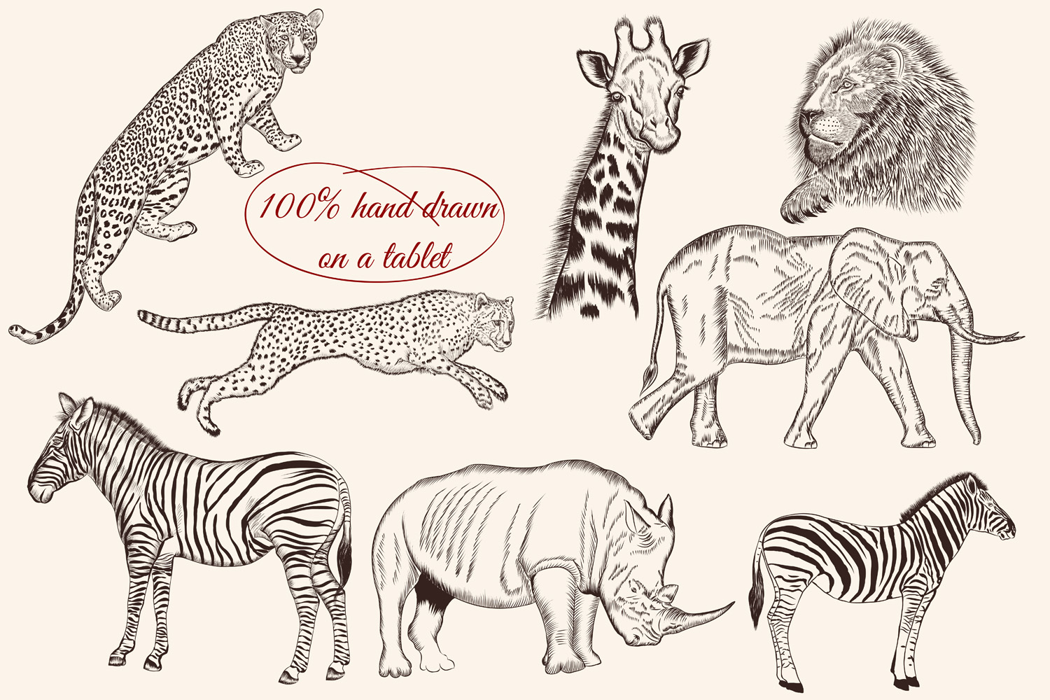 Download Bundle from vector engraved animals (96965 ...