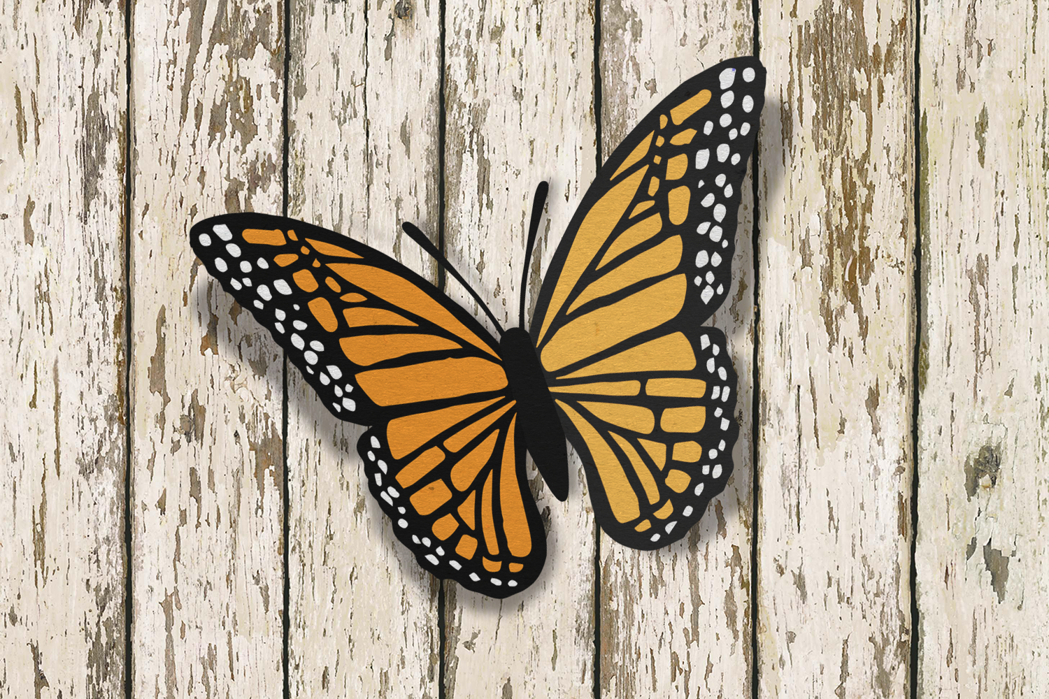 Monarch Butterfly SVG Design