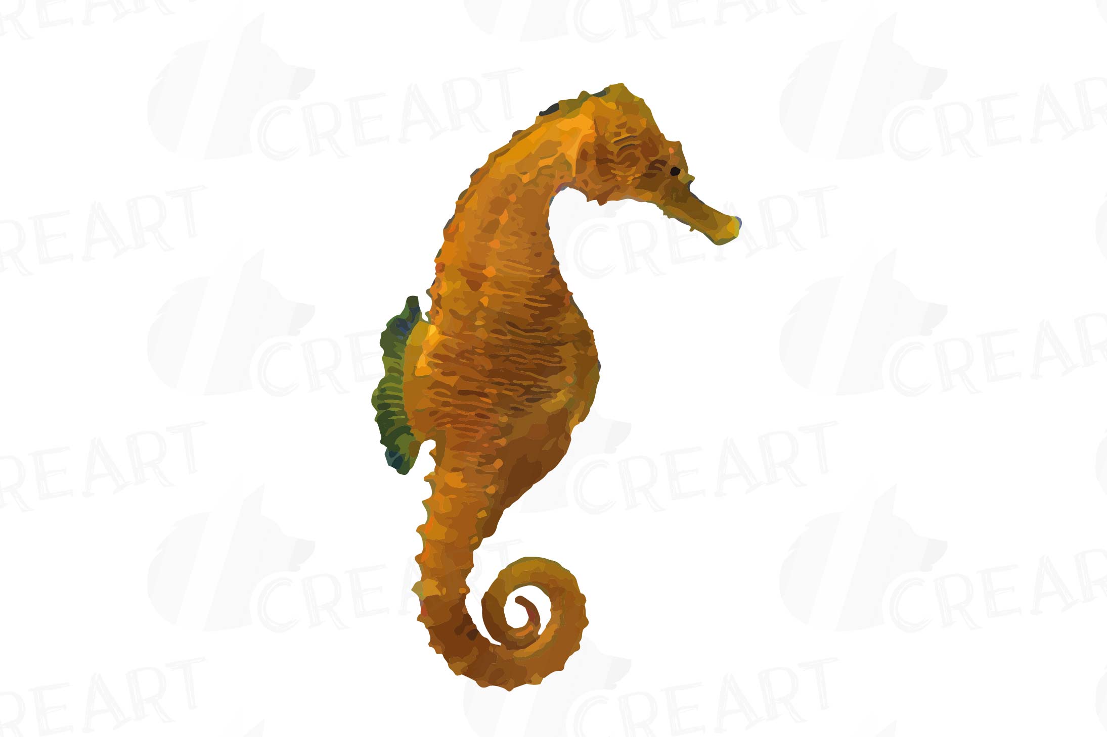 Seahorse watercolor clip art pack, colorful seahorses