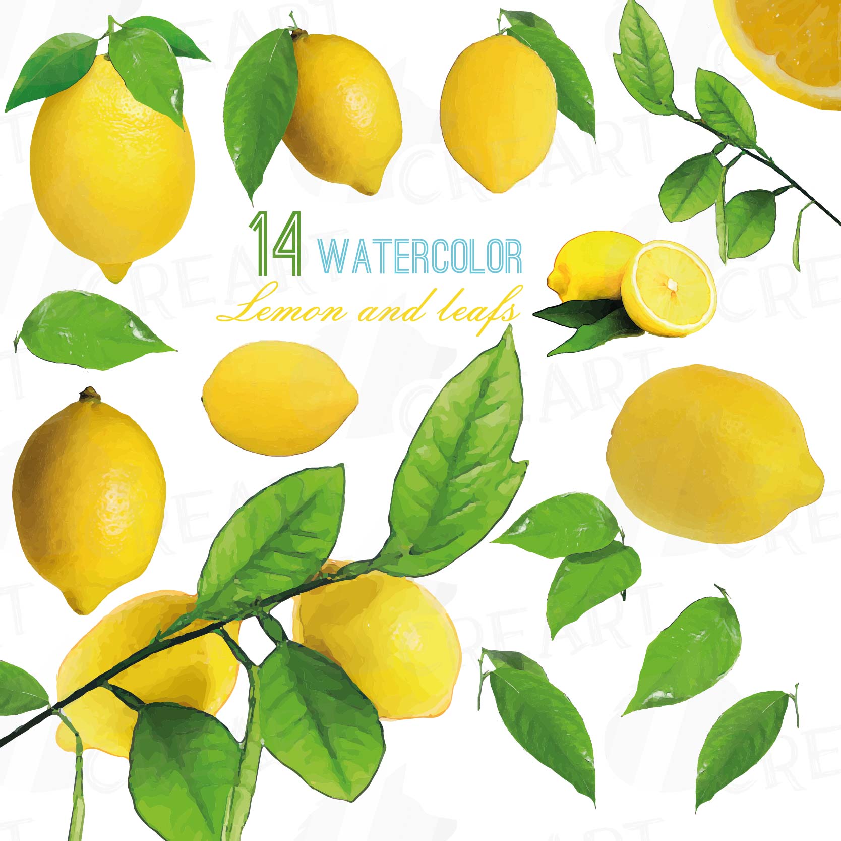 Download Watercolor lemons, branch and leaves clip art pack, watercolor lemon clip art, exotic fruit, png ...