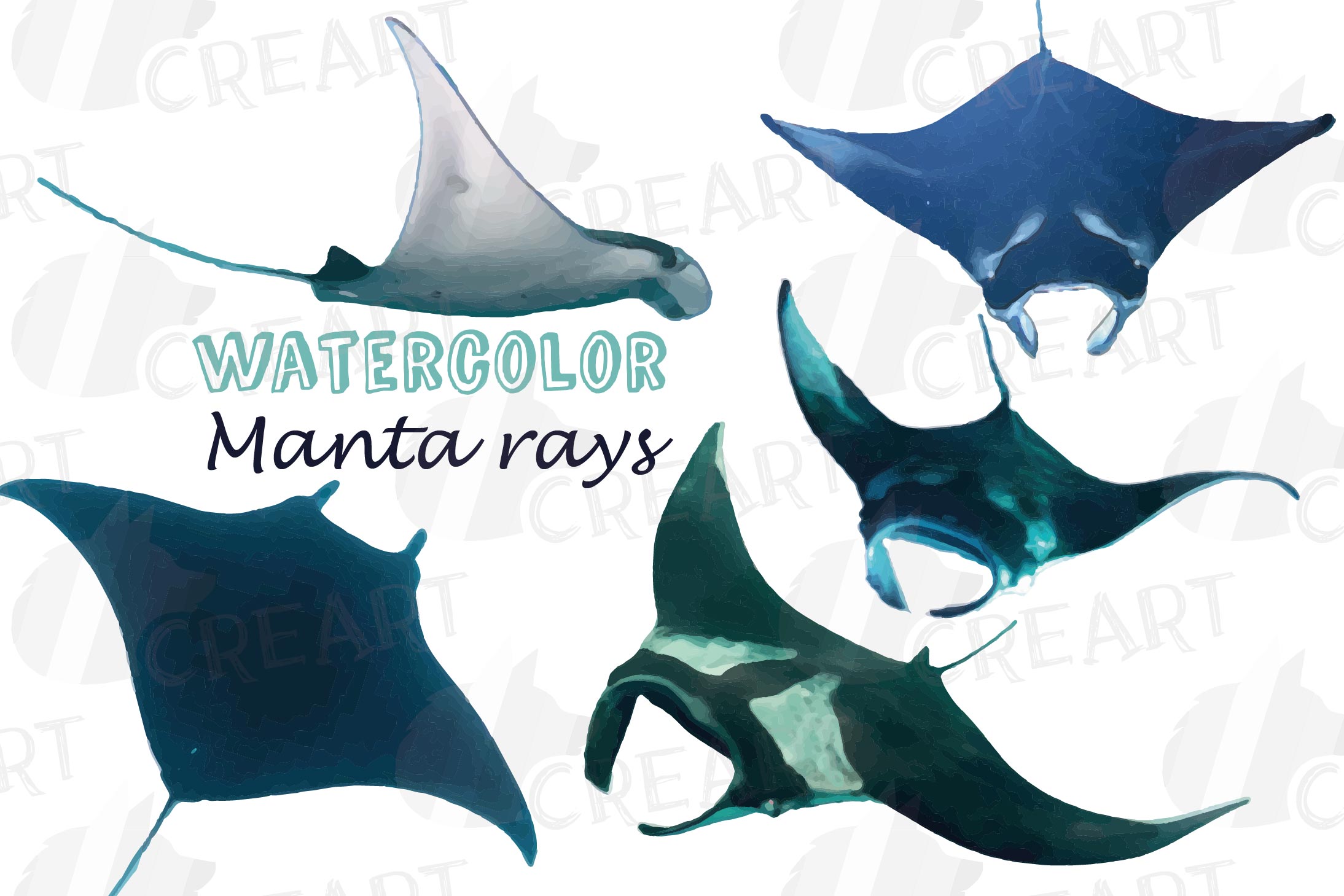 Watercolor Manta Rays clip art pack, manta ray decoration (220865 ...