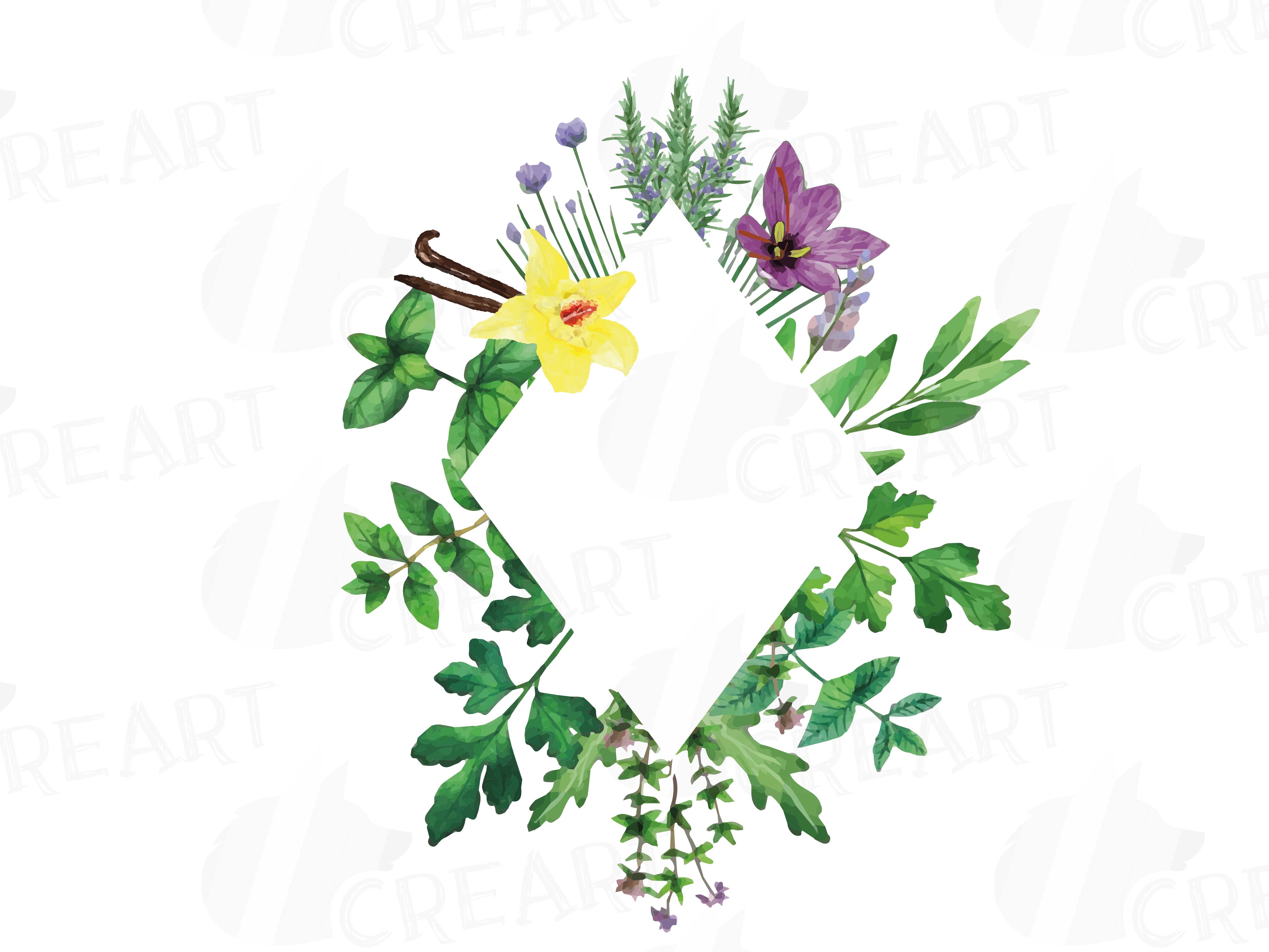 Herbs And Spices Frames Watercolor Clip Art Pack Watercolor Herb Leaves Borders Png Svg