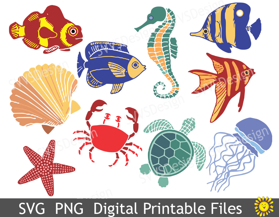 Download Sea Ocean Creatures, Clipart, Vector, SVG, PNG . (vr) (69769) | Illustrations | Design Bundles