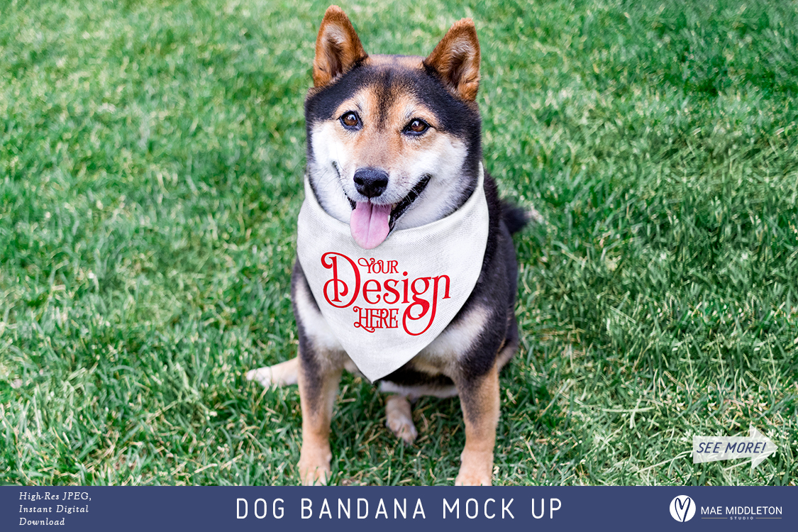 Download Dog Bandana Mock up, styled photo