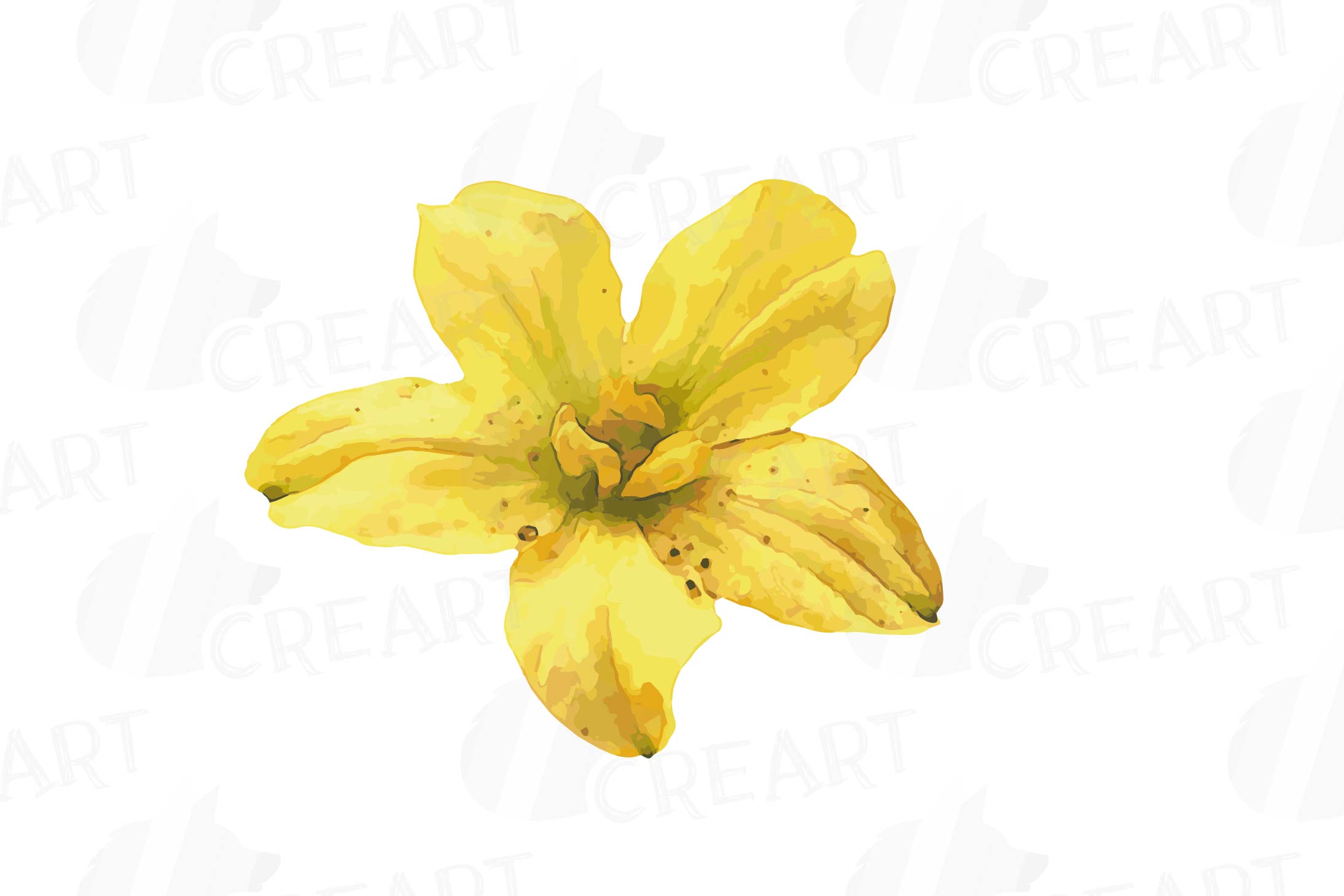 Watercolor watermelon clip art pack, watermelon plant&flower (112802) Illustrations Design