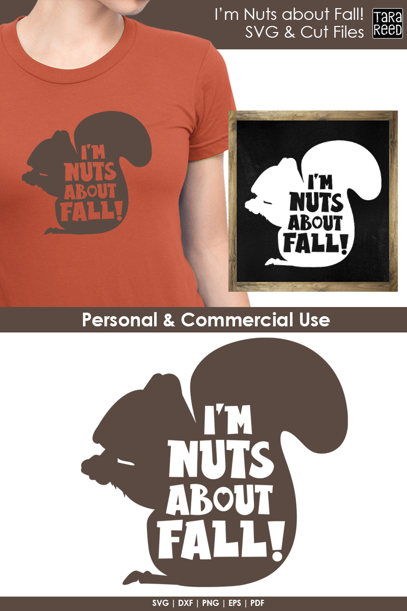 Download I'm Nuts about Fall - Fall SVG and Cut Files for Crafters