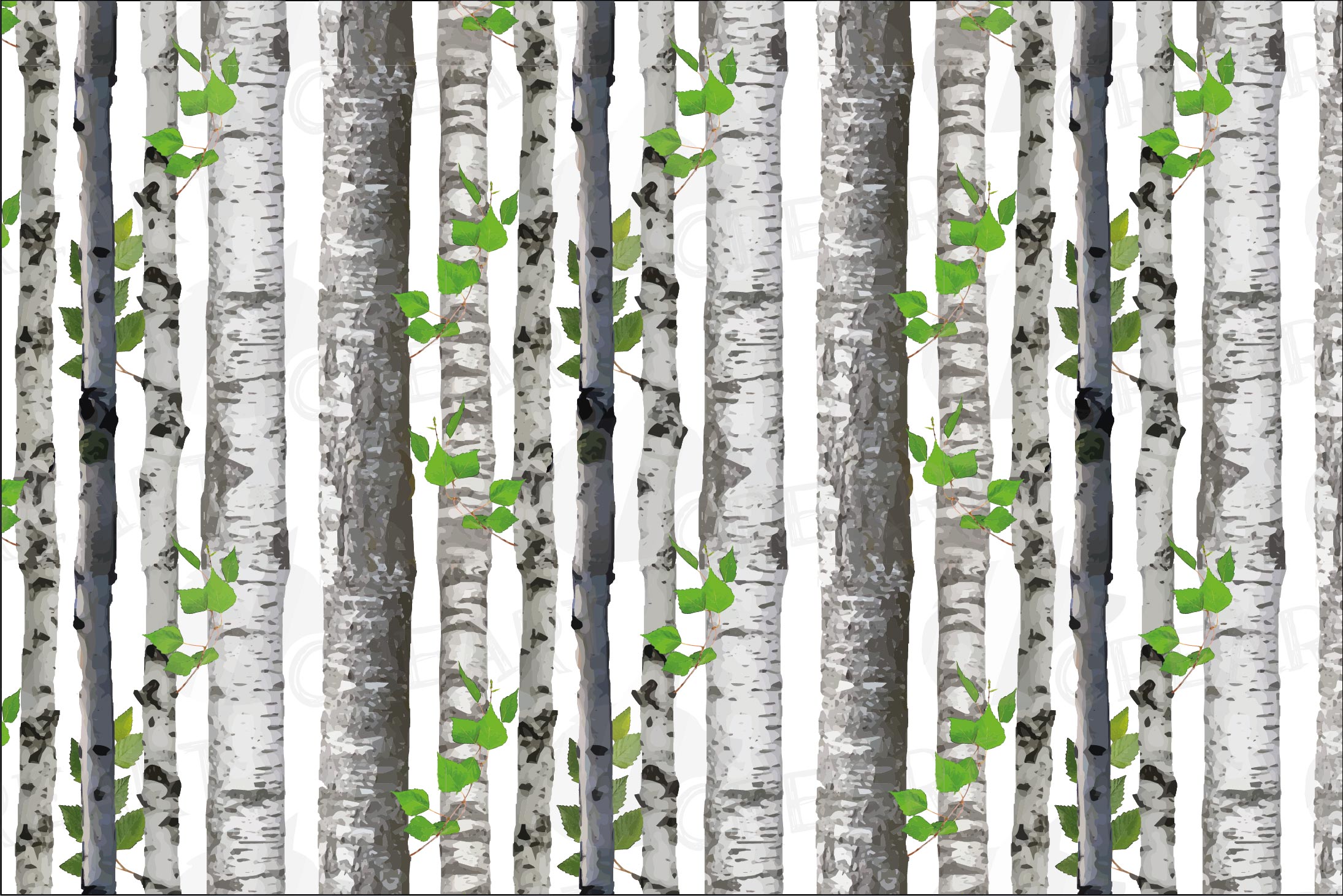 Seamless birch tree vector watercolor pattern. Birch barks