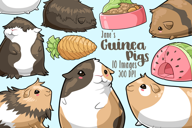 Kawaii Guinea Pigs Clipart (126097) | Illustrations | Design Bundles