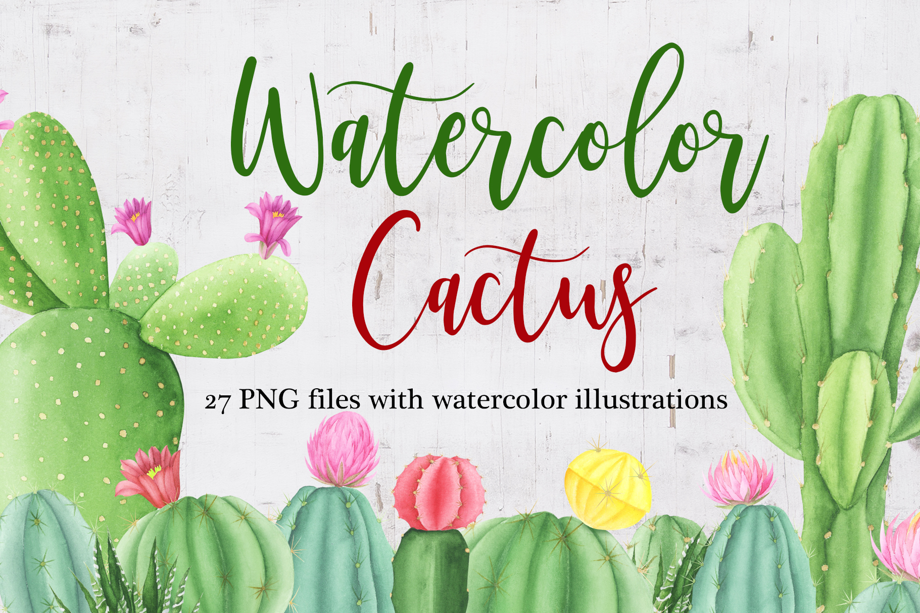 Watercolor cactus Clipart (269848) | Illustrations | Design Bundles