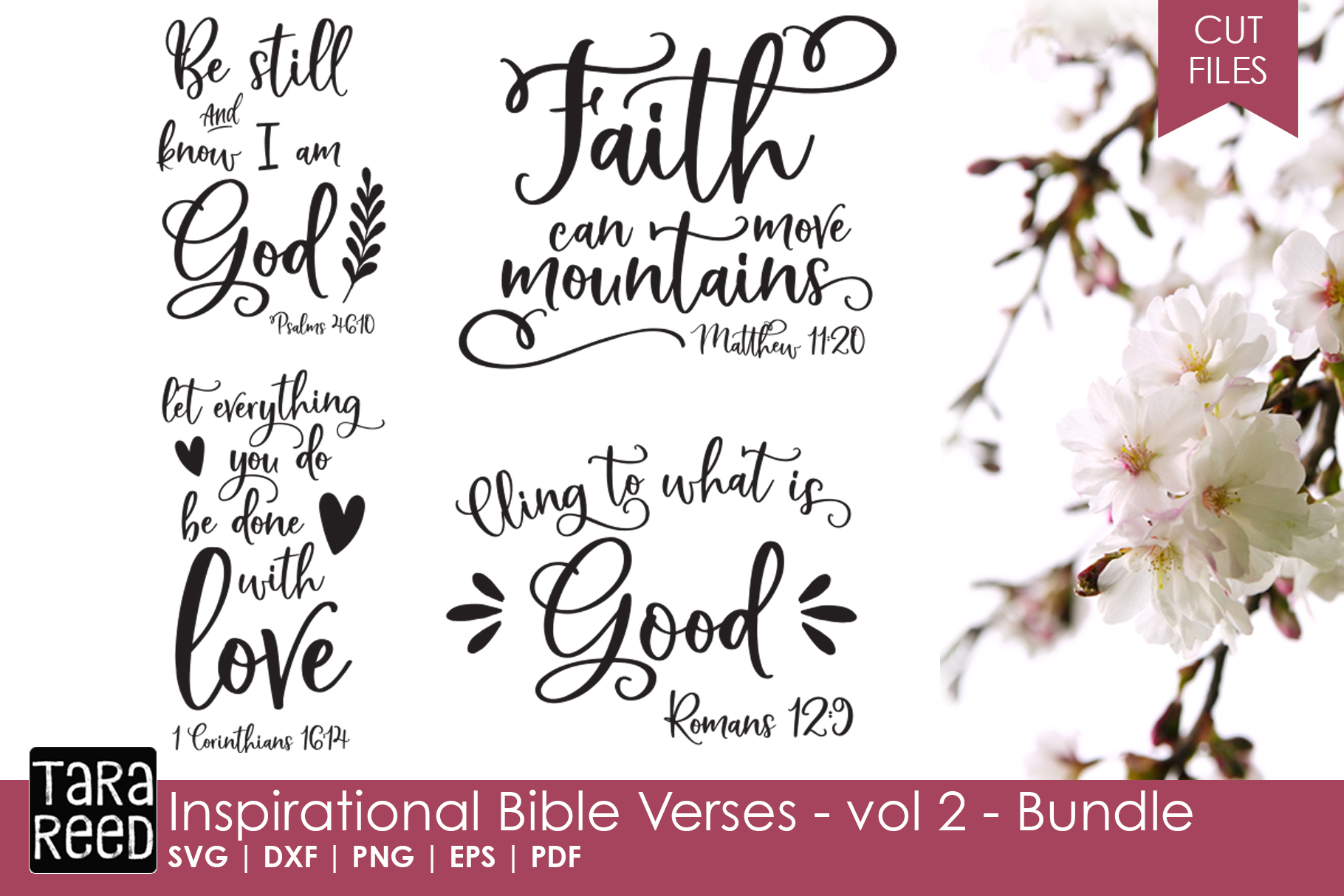 Download Inspirational Bible Verses - volume 2 - Bundle