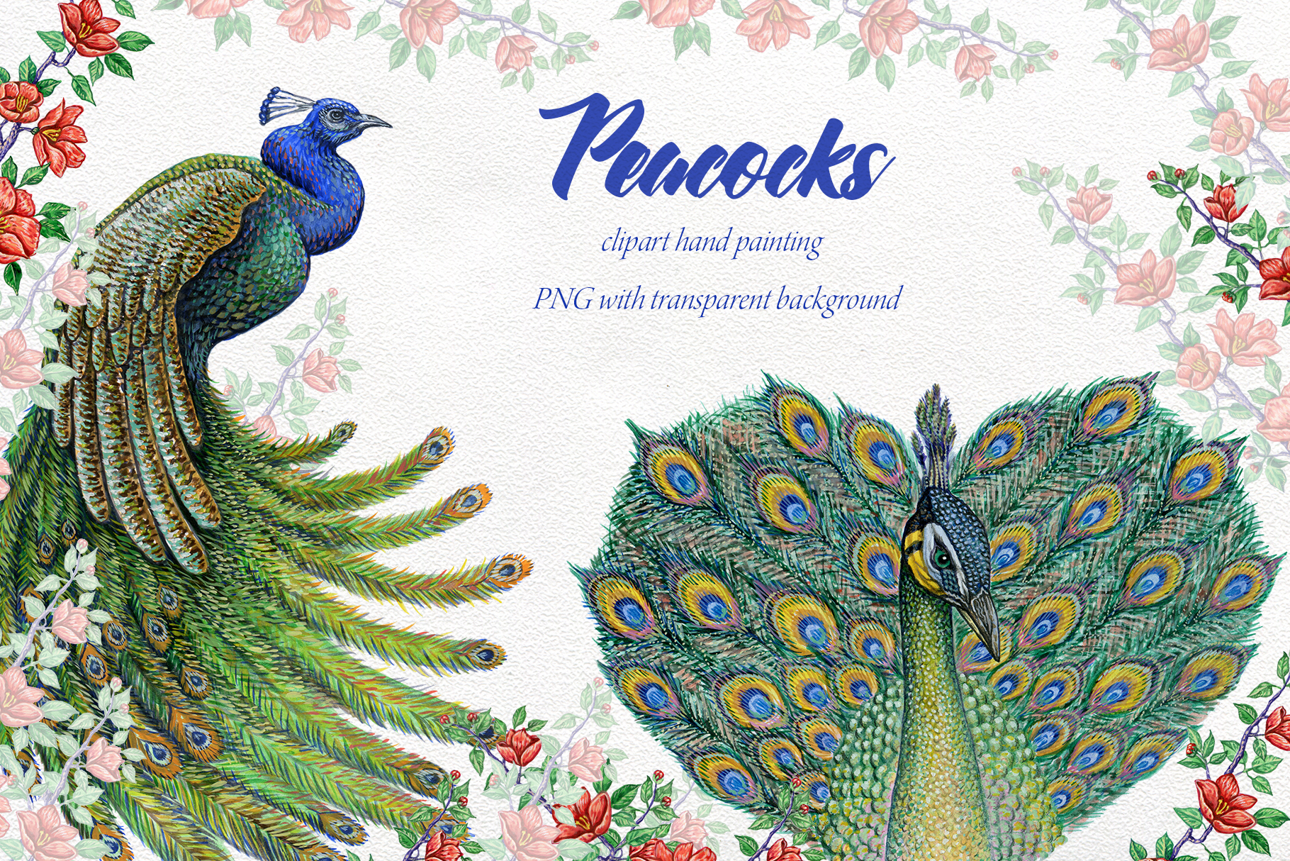 Peacock birds . Watercolor Clipart. Flower backgrounds (219613