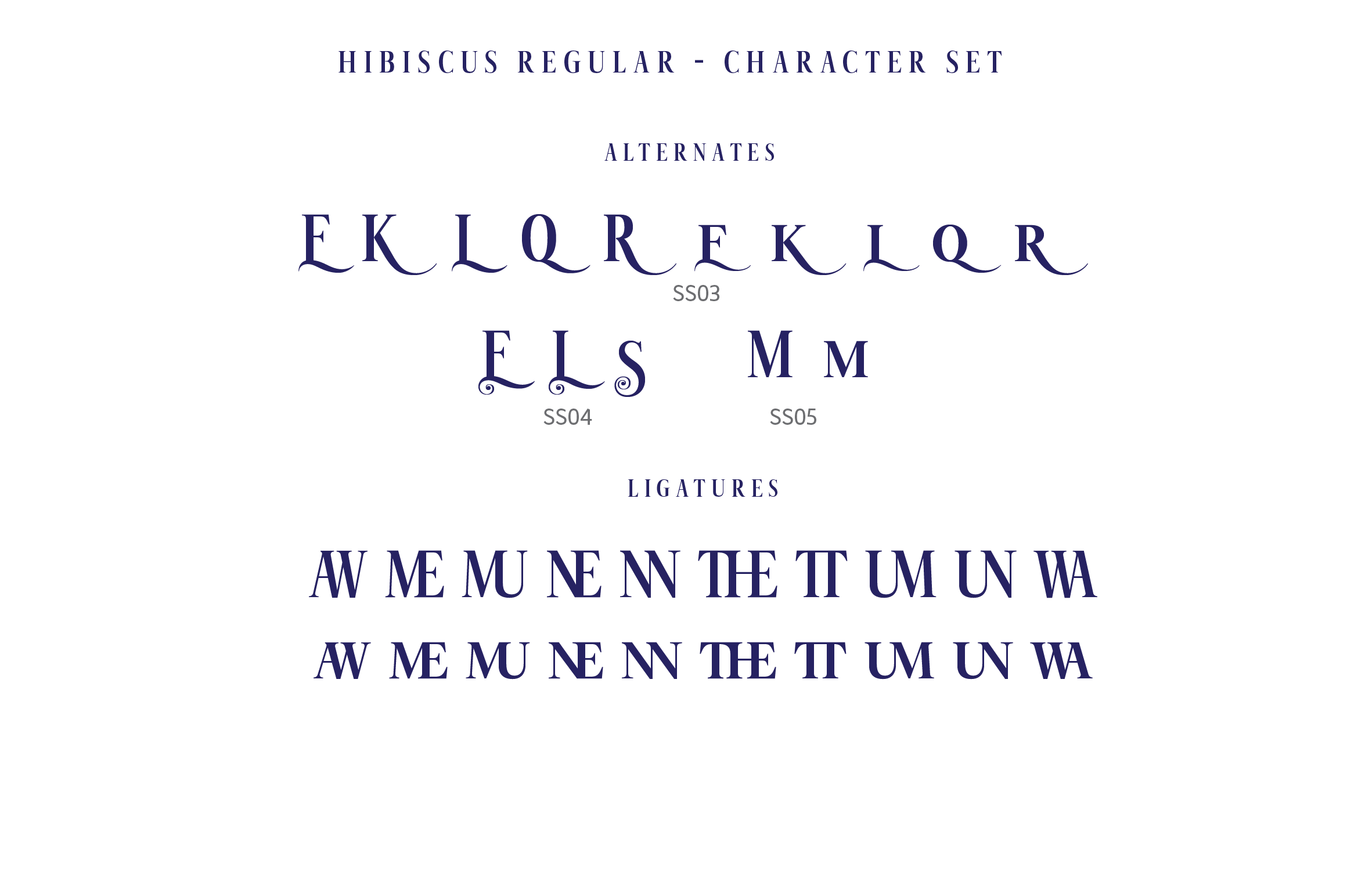 Hibiscus (49891) | Serif | Font Bundles