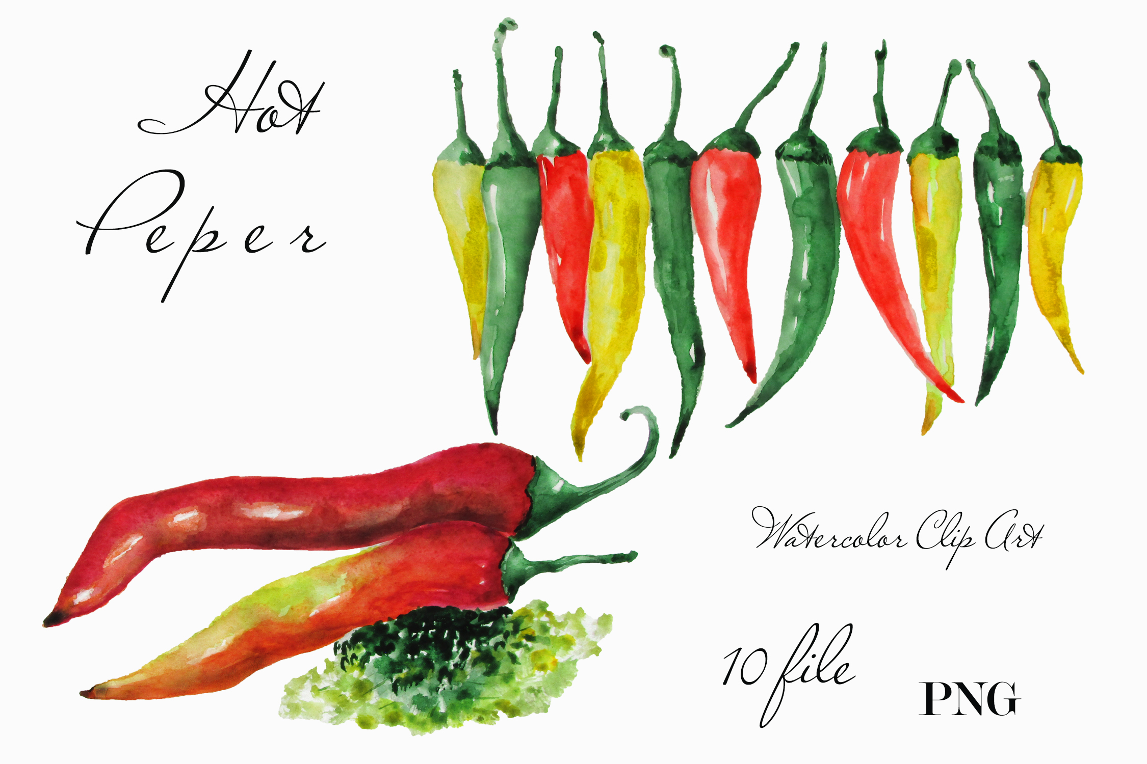 Kitchen Wall Decor Watercolor Clipart Hot Pepper