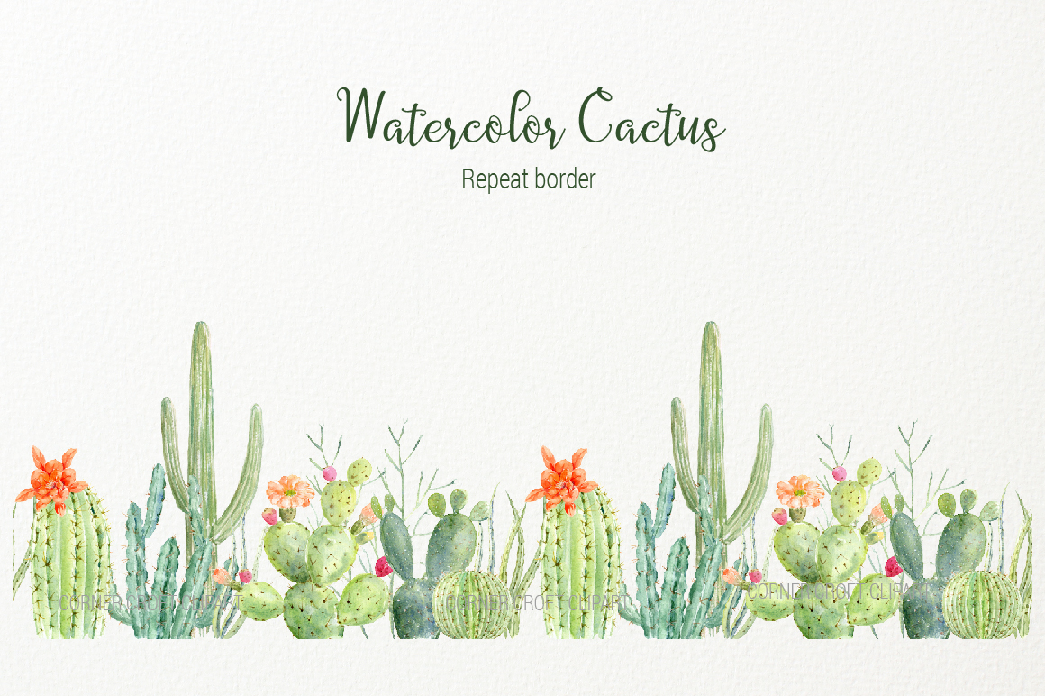 Watercolor clipart cactus for instant download (92177) | Illustrations