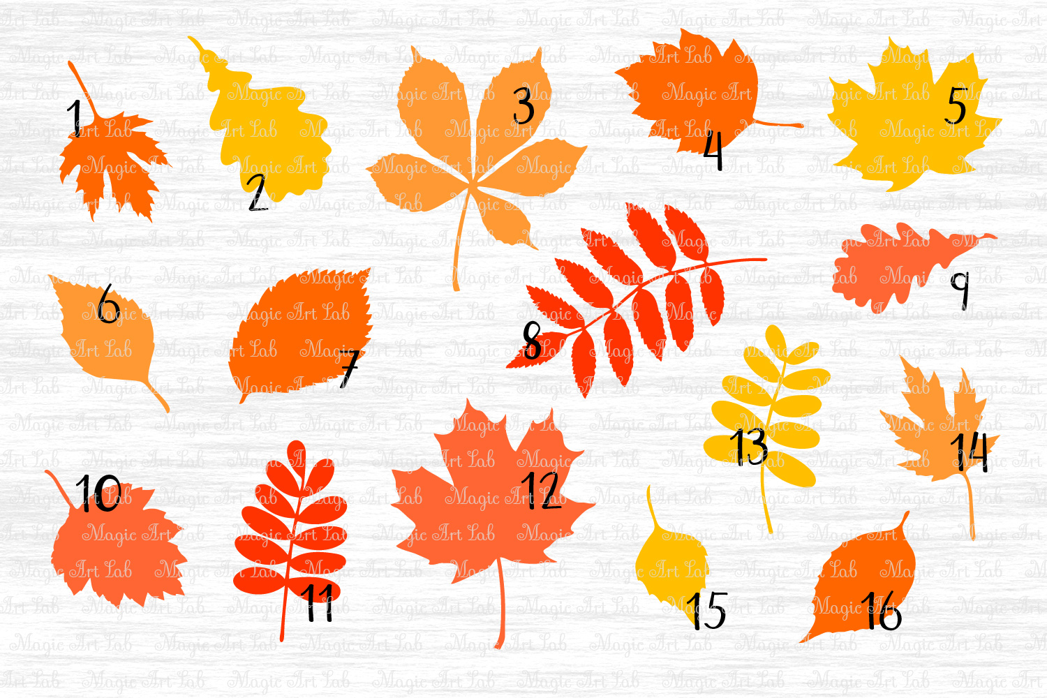 Fall Leaf SVG, Autumn Leaves SVG file, Fall svg, Maple Leaf