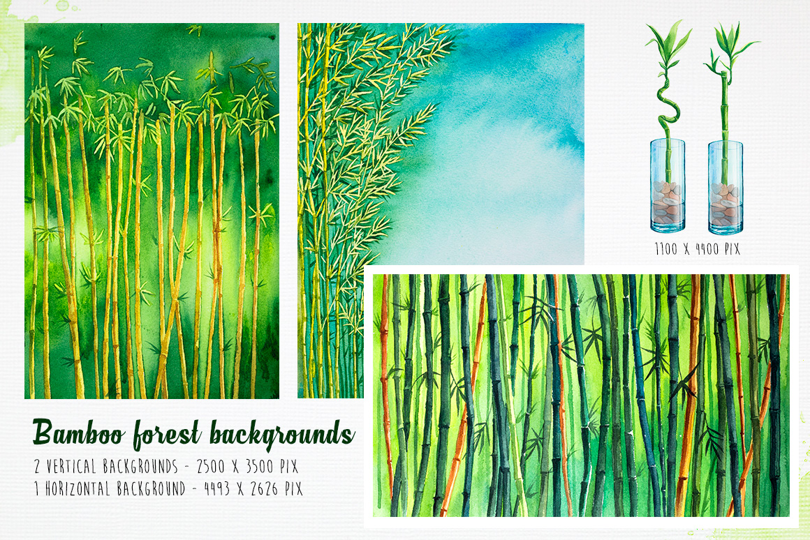  Bamboo Watercolor  illustrations 