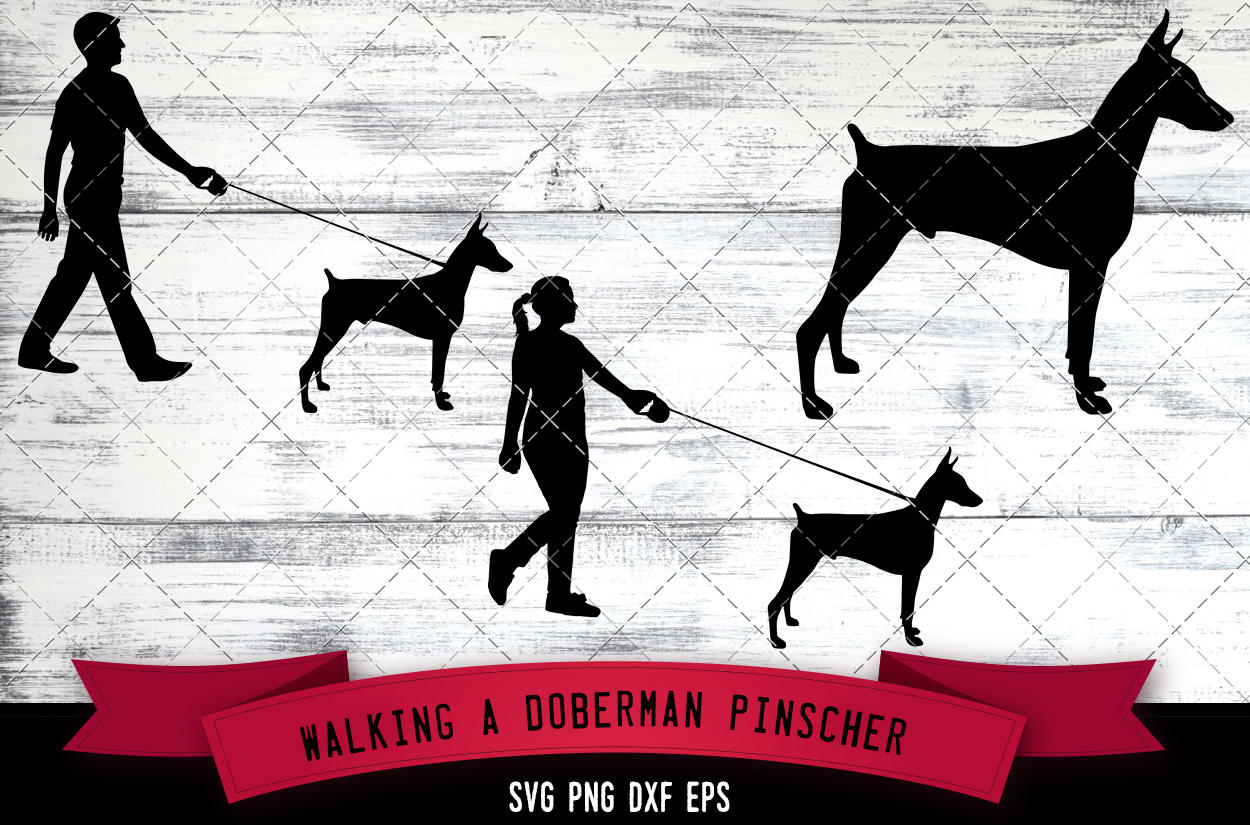 Download Walking a Doberman Pinscher Dog Silhouette Vector (517431 ...