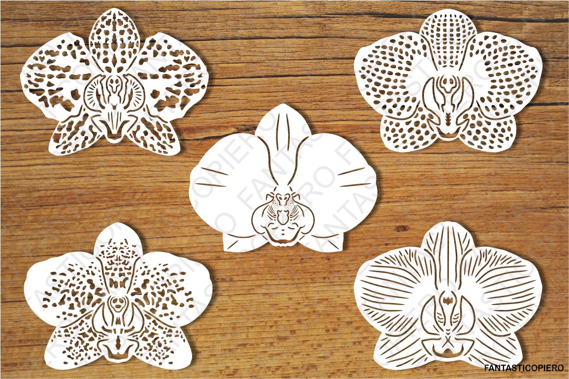 Orchid Flowers SVG files for Silhouette Cameo and Cricut. (233295