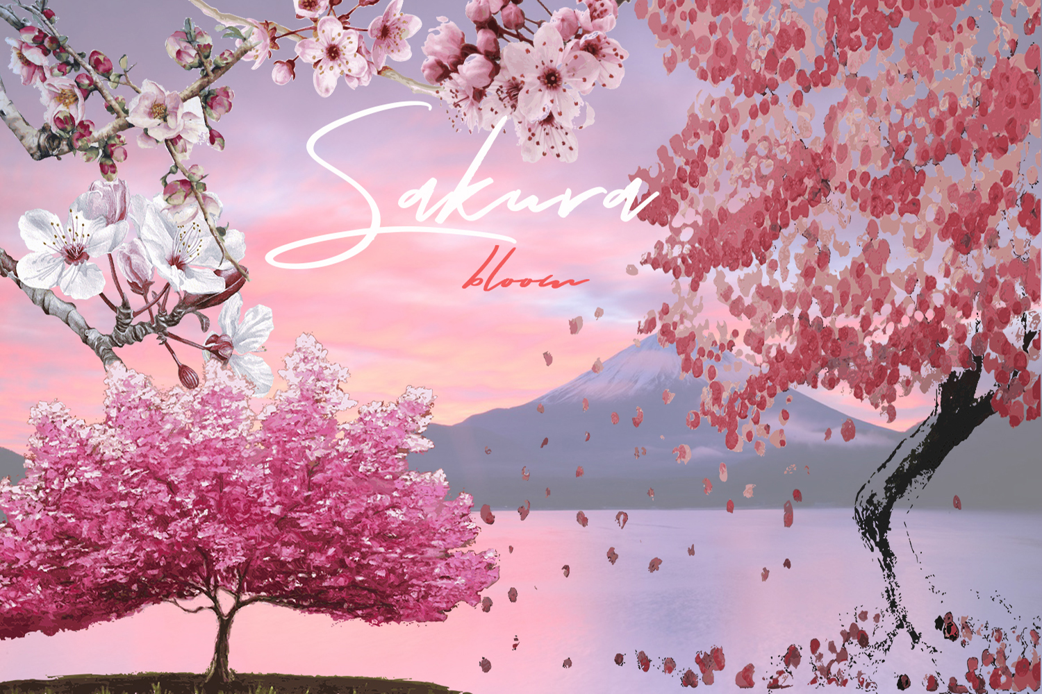 Desain
